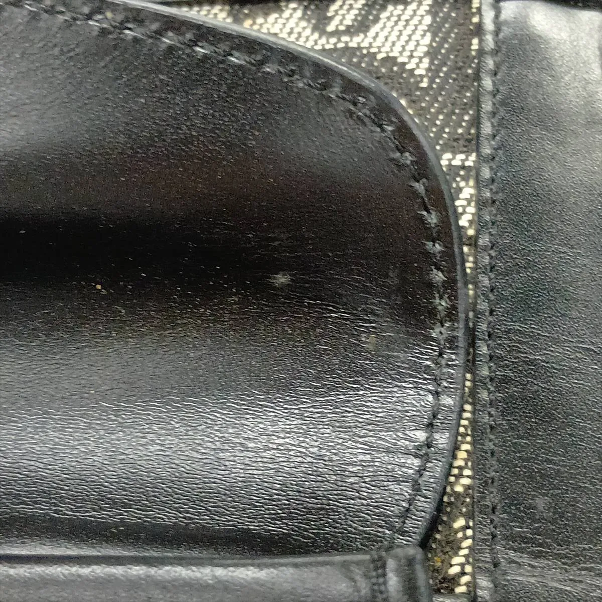 Trotter Canvas x Leather Handbag, Black — view 15