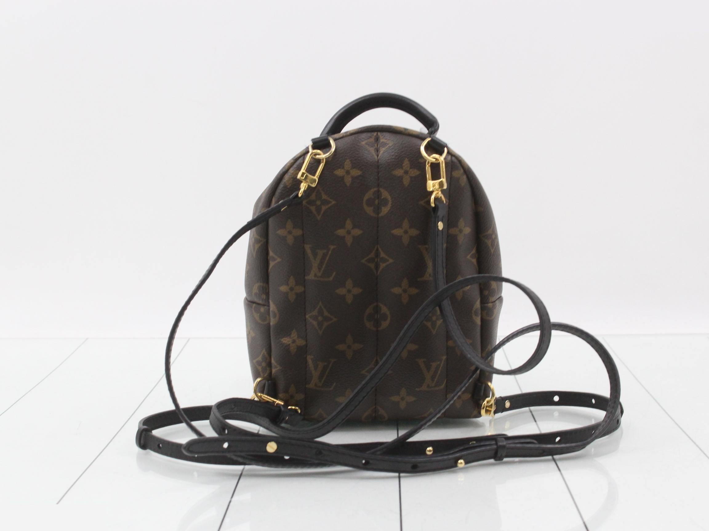 LV Monogram Palm Springs MINI — view 2