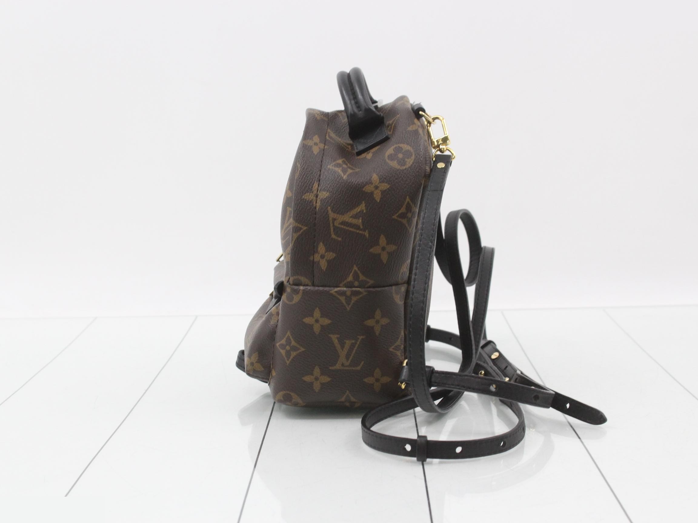 LV Monogram Palm Springs MINI — view 3