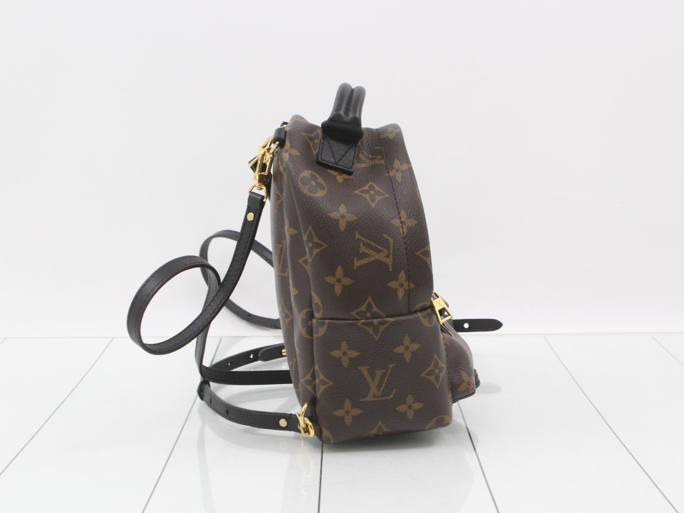 LV Monogram Palm Springs MINI — view 4