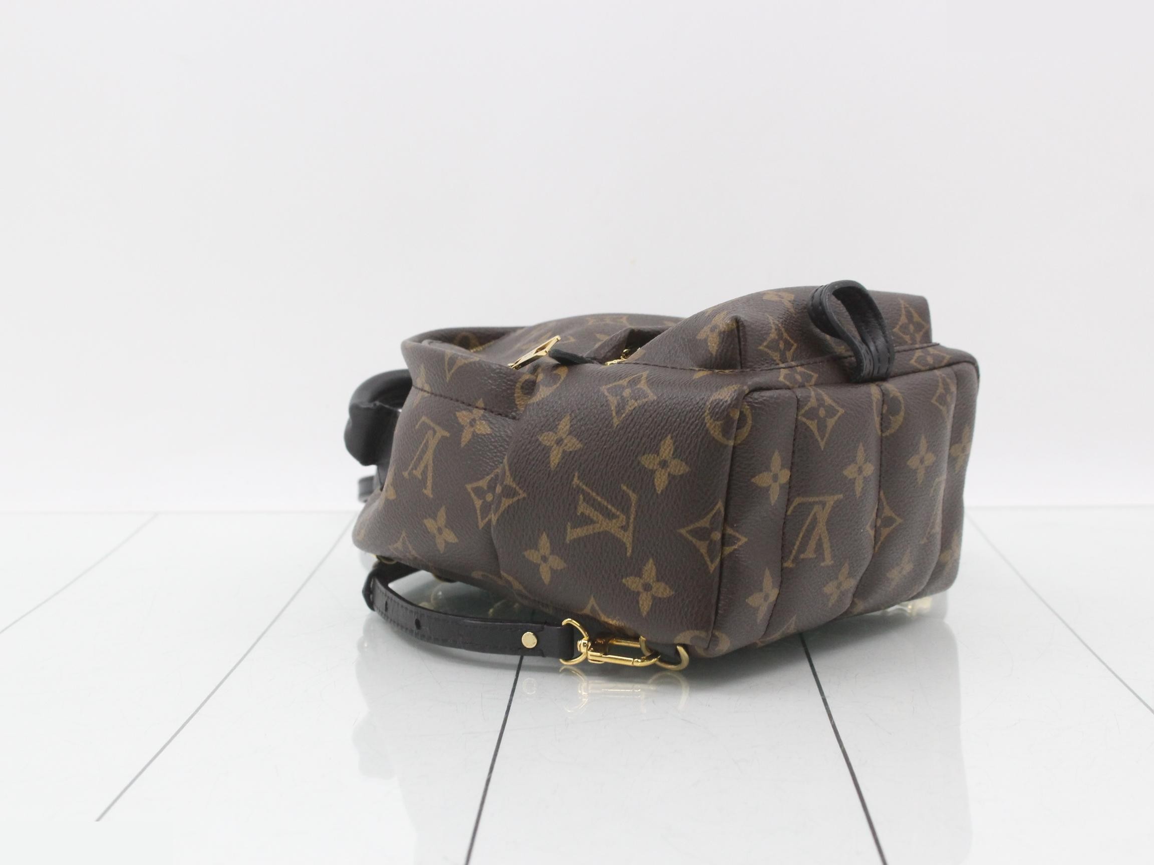 LV Monogram Palm Springs MINI — view 5