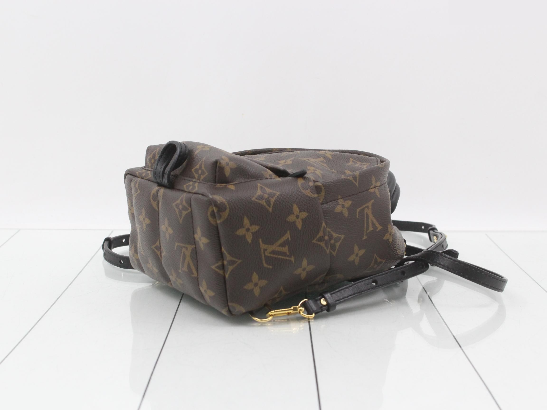 LV Monogram Palm Springs MINI — view 6