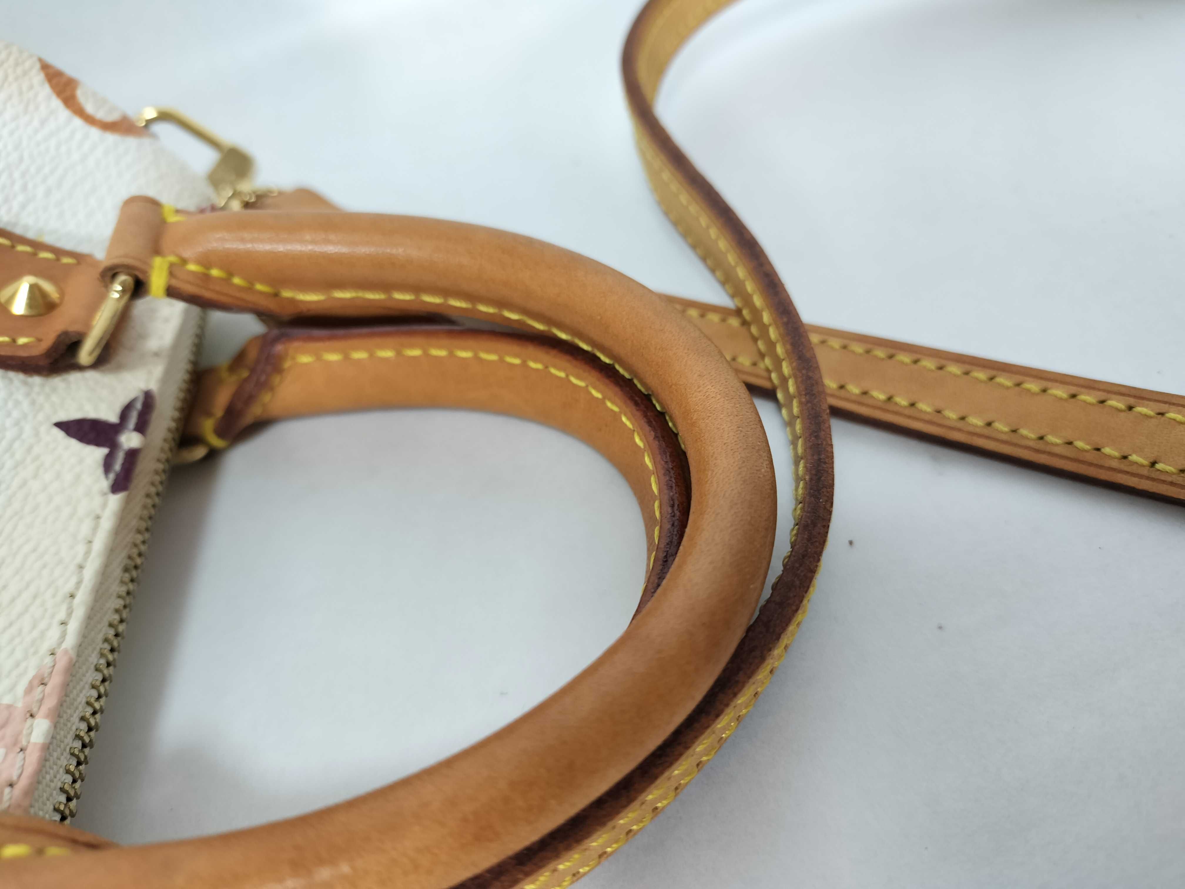 Monogram Multicolor Mini Speedy Handbag — view 4