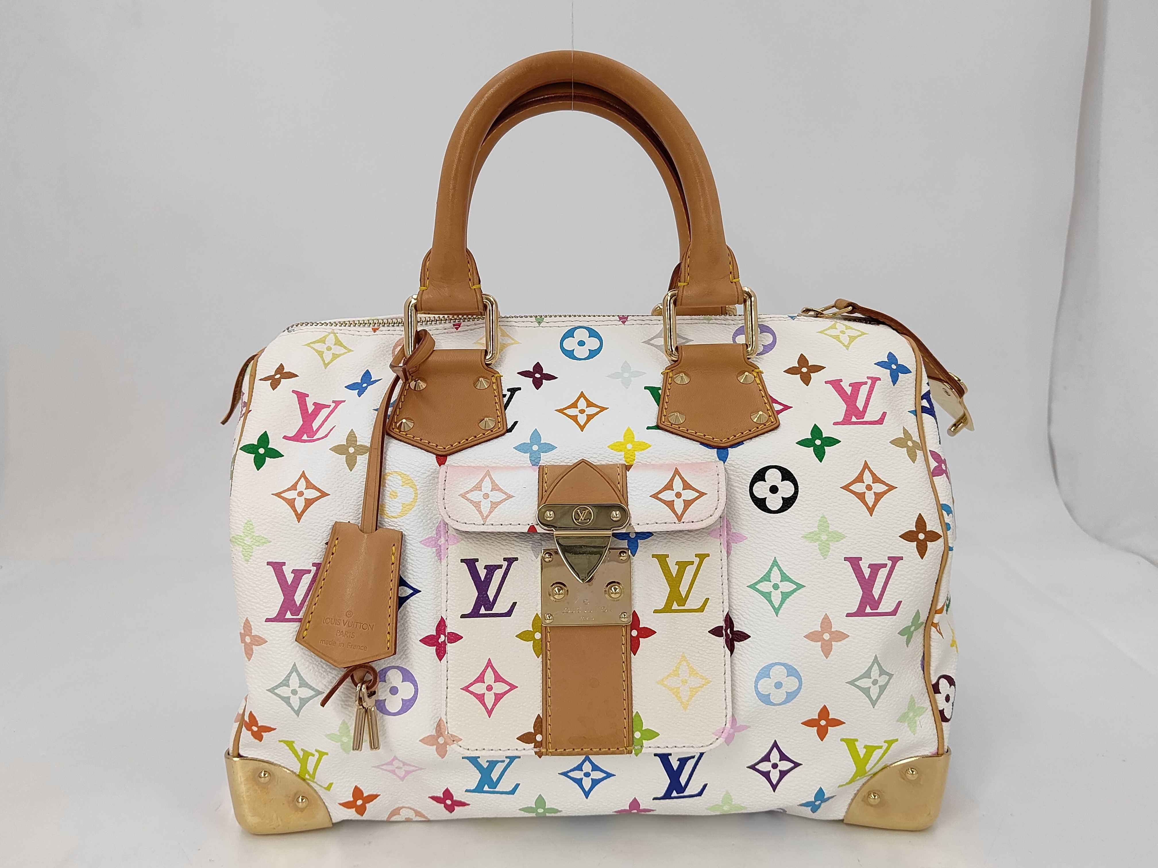 Monogram Multicolor Louis Vuitton Speedy Multicolor Handbag