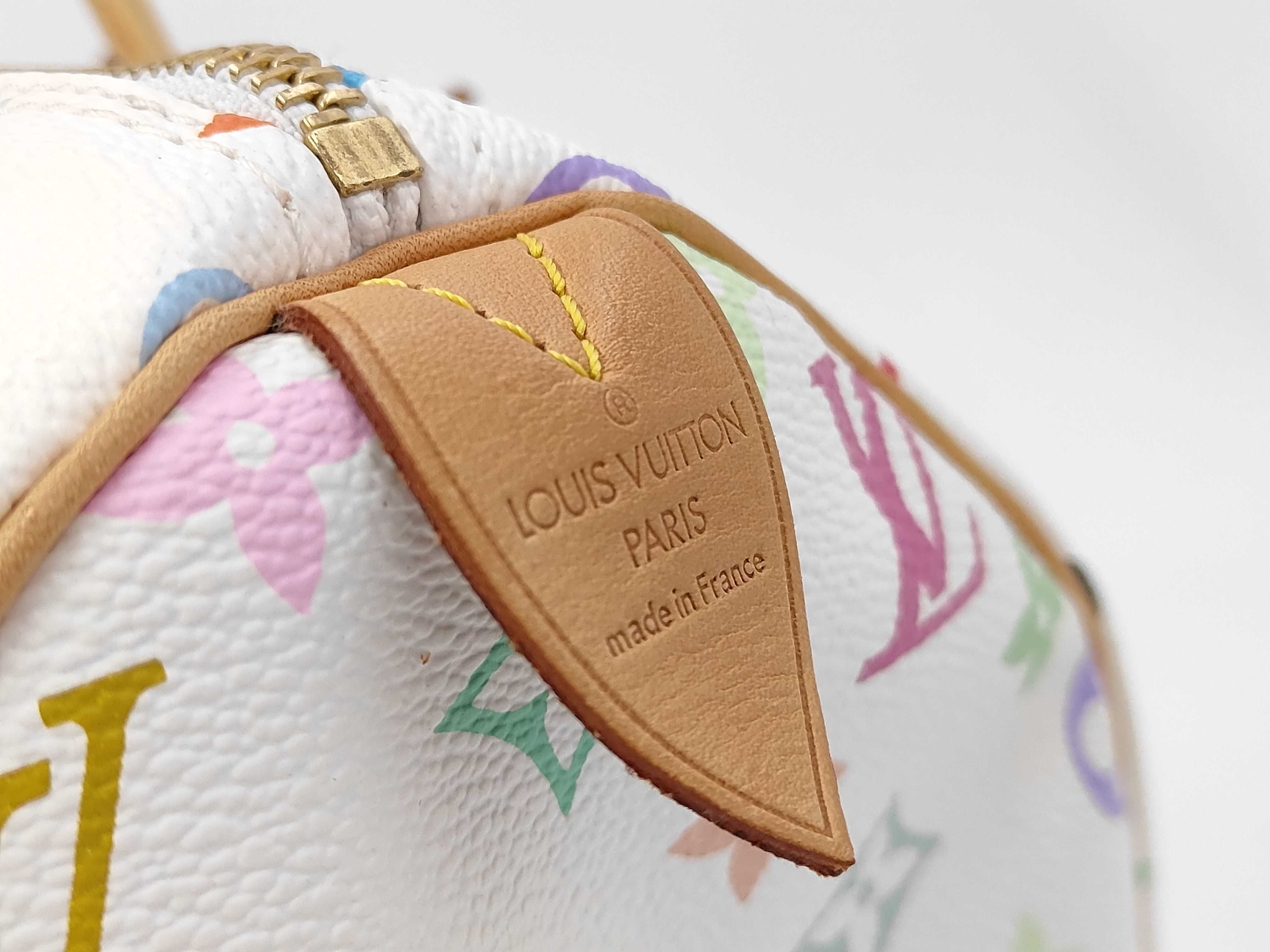 Monogram Multicolor Louis Vuitton Speedy Multicolor Handbag — view 4