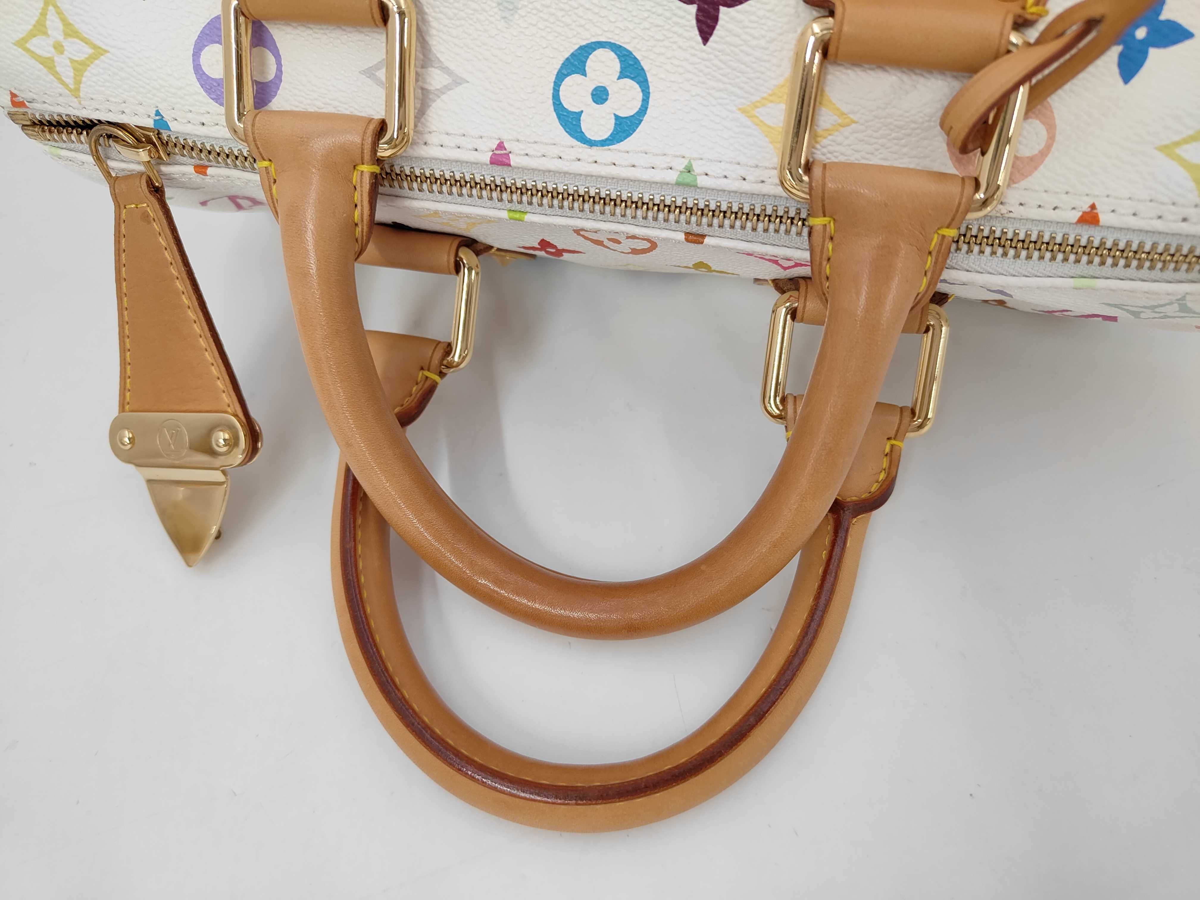 Monogram Multicolor Louis Vuitton Speedy Multicolor Handbag — view 5