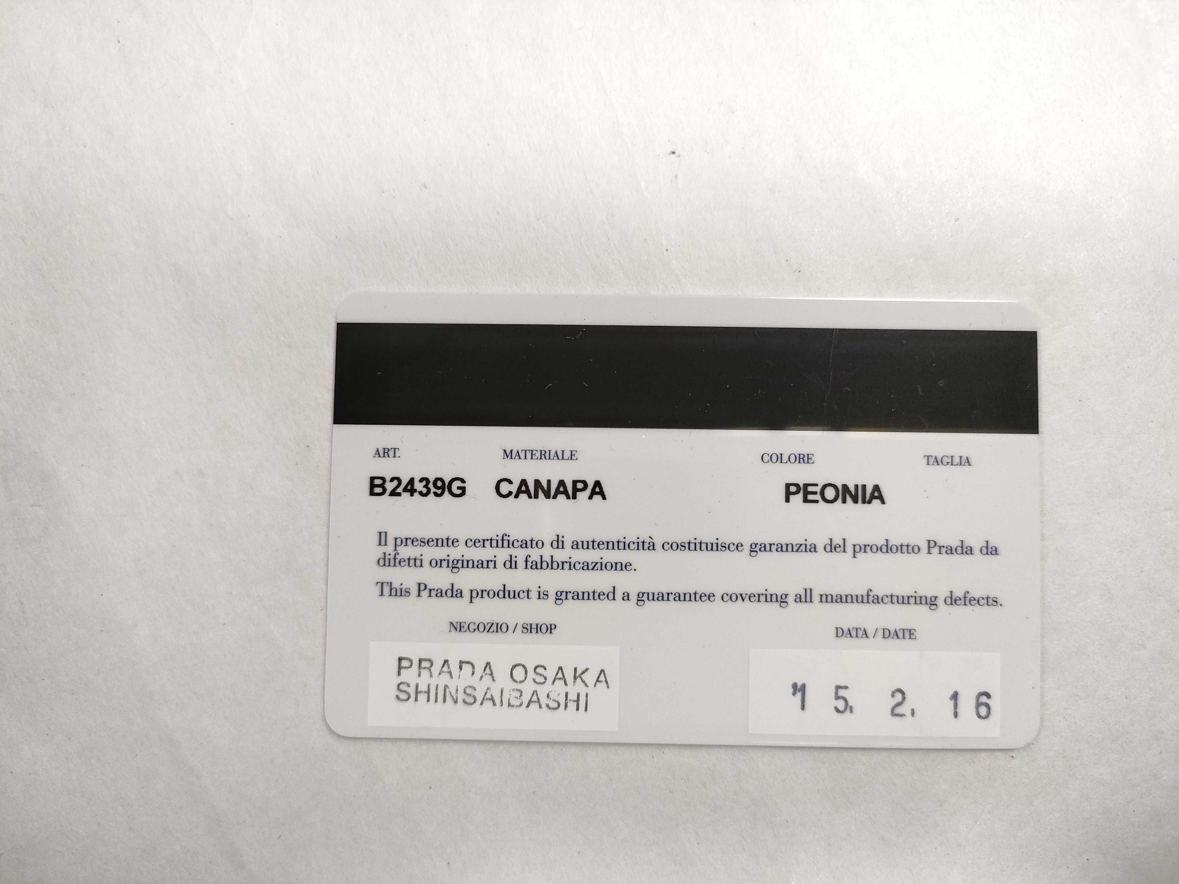 B2439G Canapa Handbag — view 14