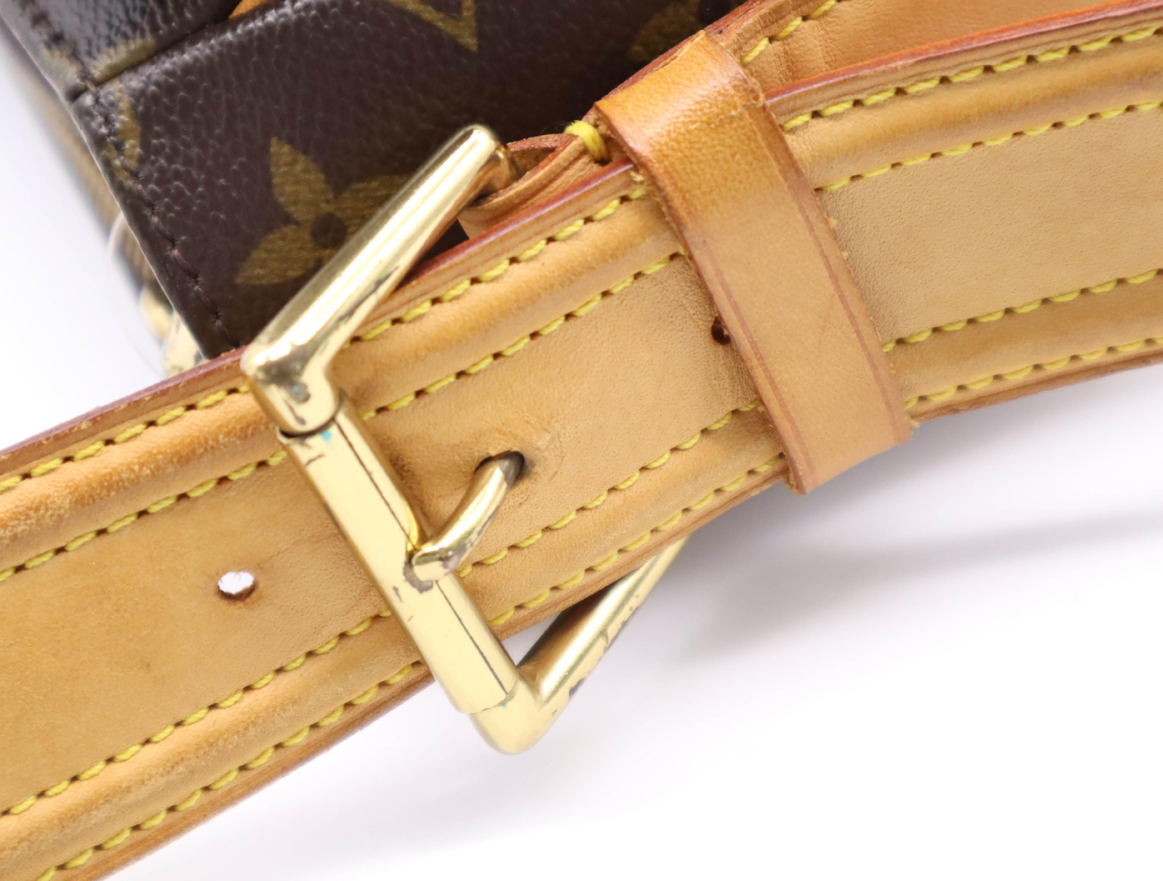 M51163 Monogram Viva Cite GM Shoulder Bag — view 11