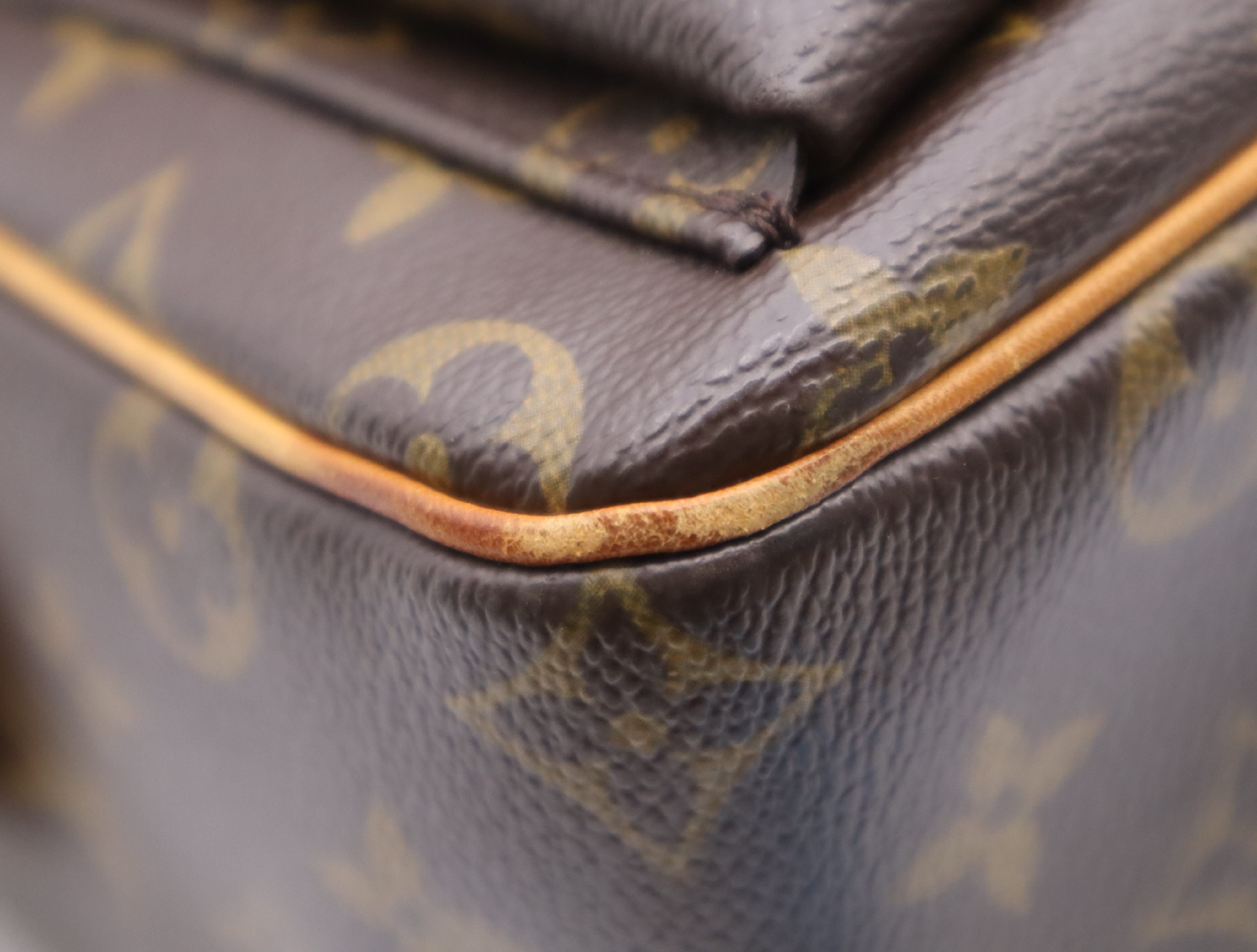 M51163 Monogram Viva Cite GM Shoulder Bag — view 6