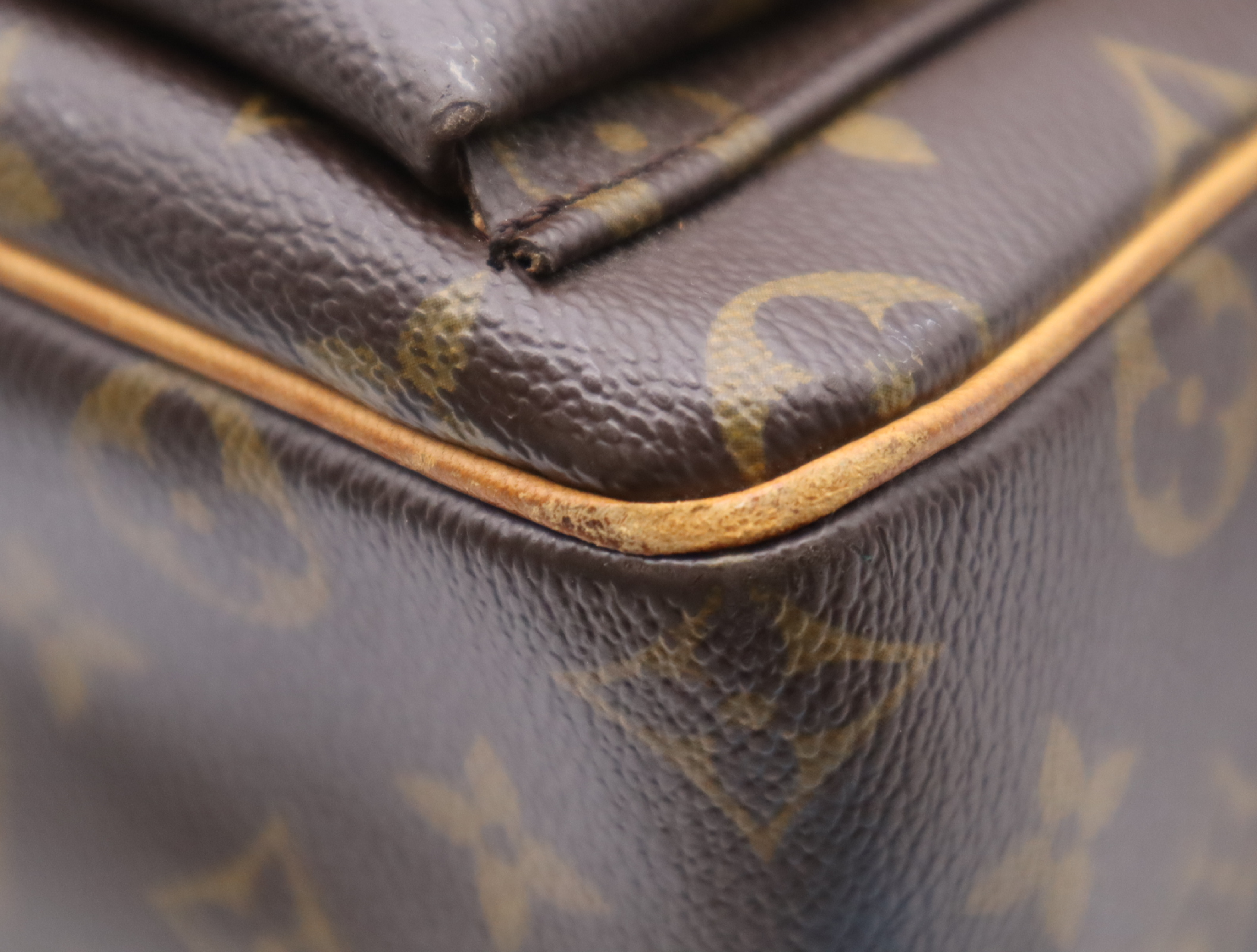 M51163 Monogram Viva Cite GM Shoulder Bag — view 7