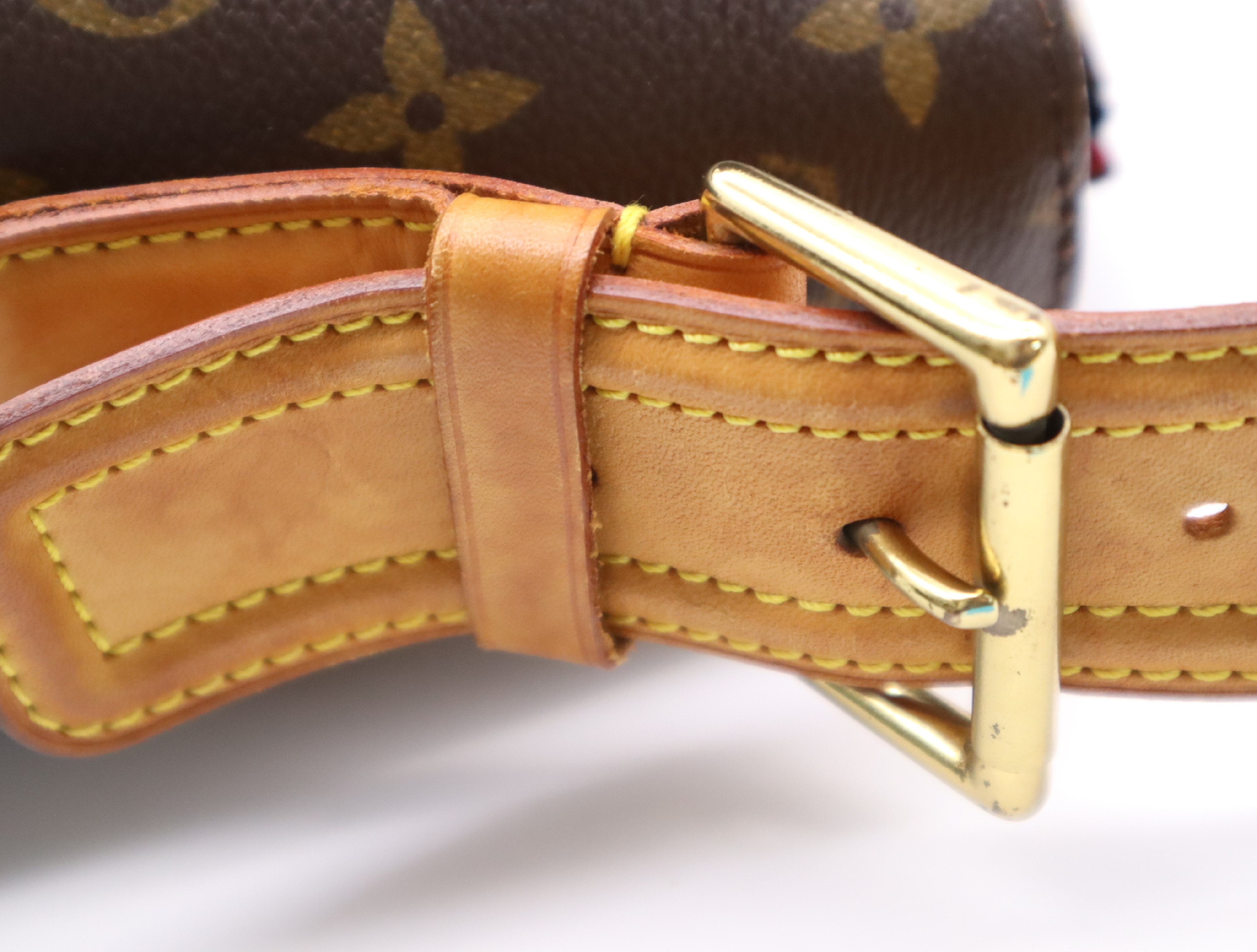 M51163 Monogram Viva Cite GM Shoulder Bag — view 8