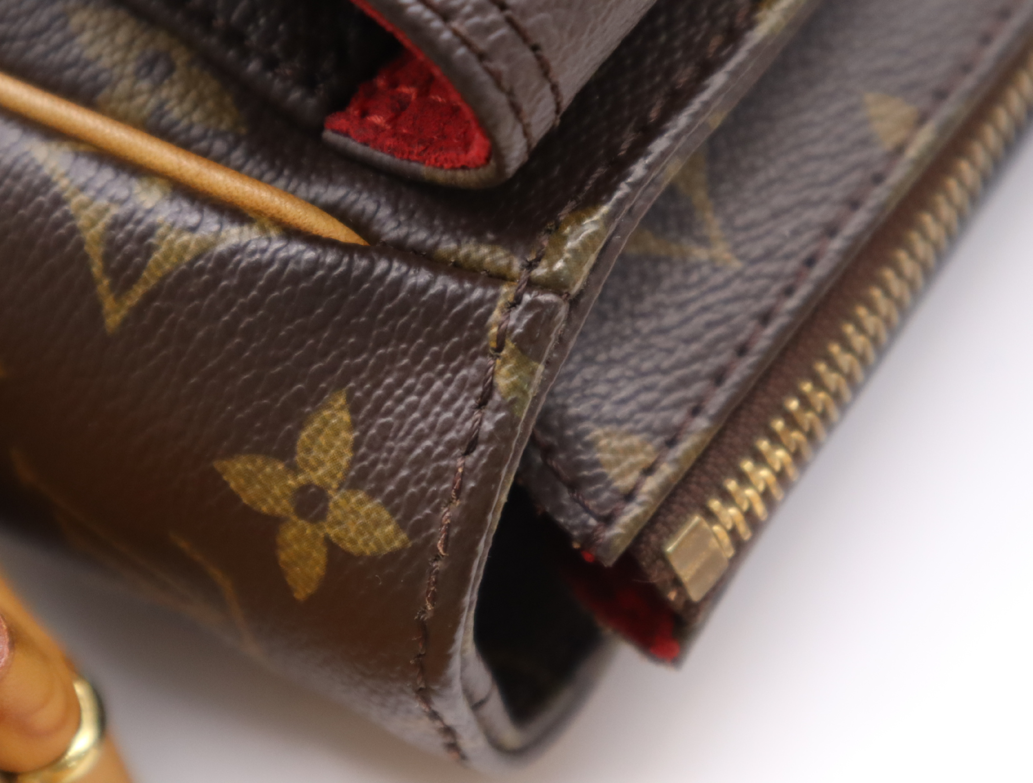 M51163 Monogram Viva Cite GM Shoulder Bag — view 9