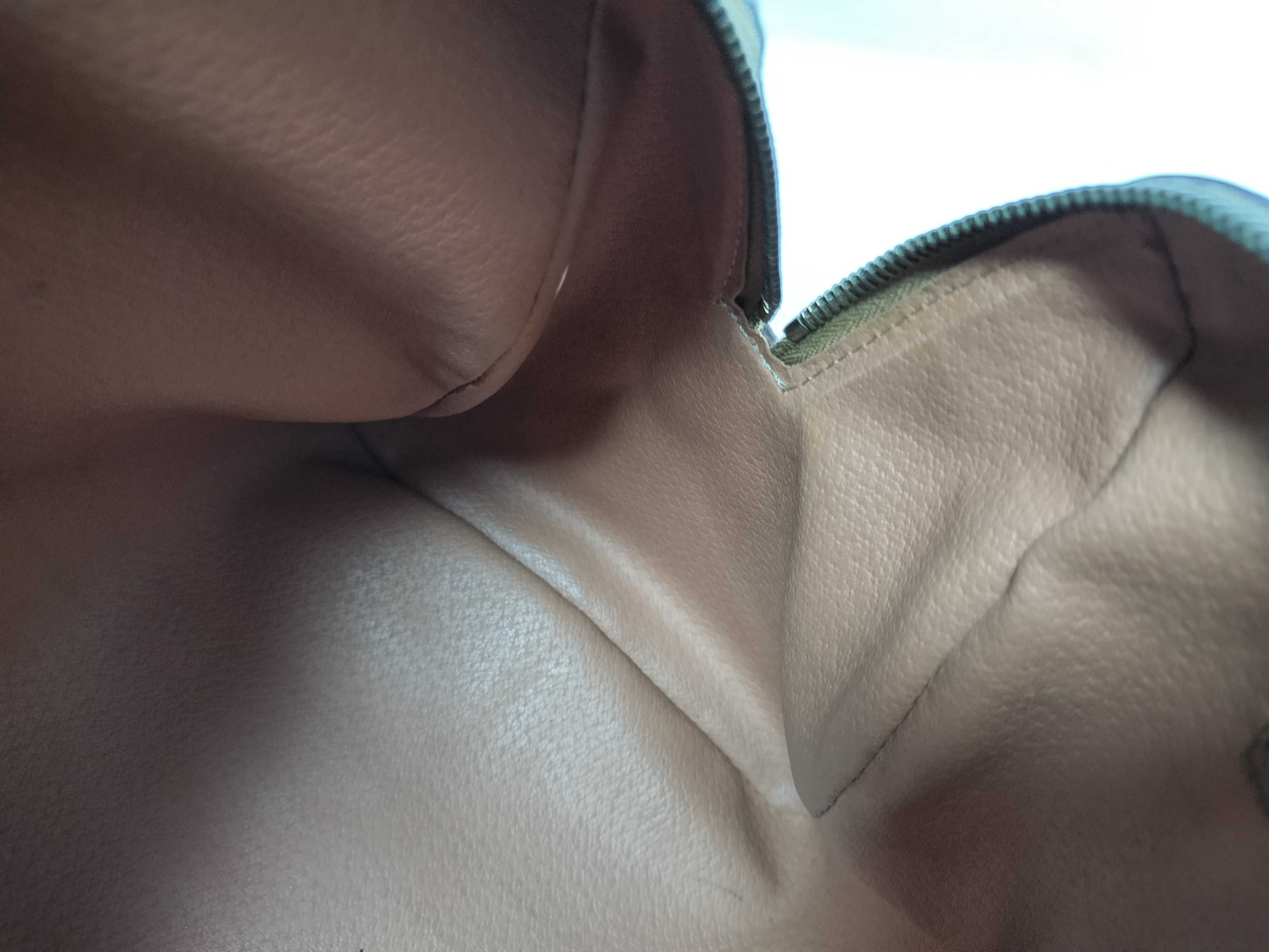 Triomphe Handbag — view 9