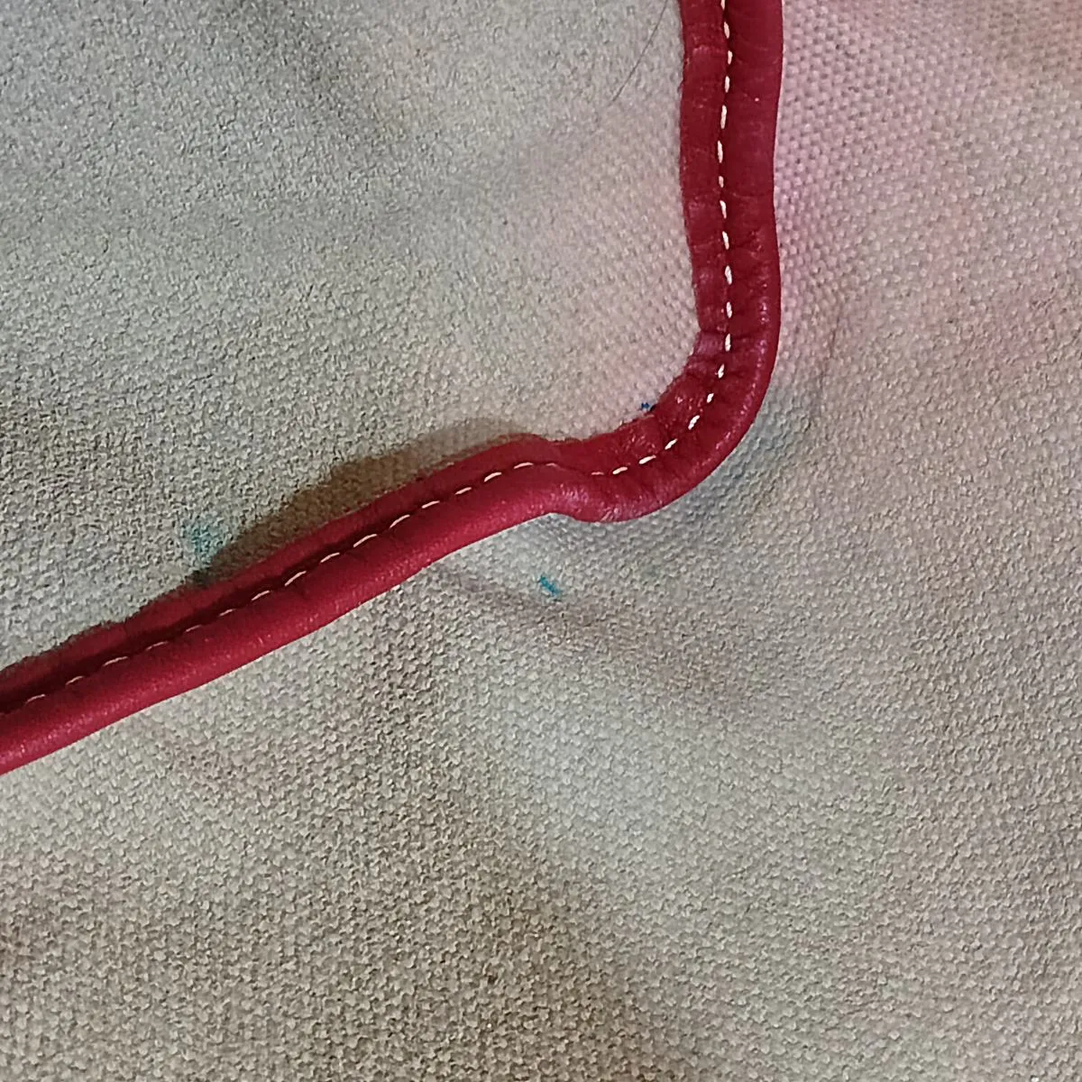 Saint Louis PM PVC x Leather Tote Bag, Red — view 14