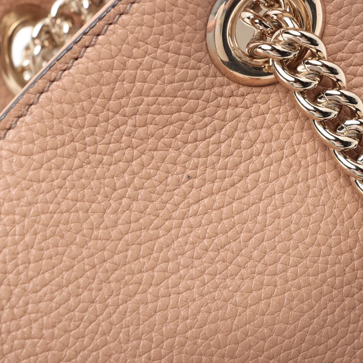 Soho Leather Chain Tote Bag, Beige Poodle, 536196 (Outlet) — view 12