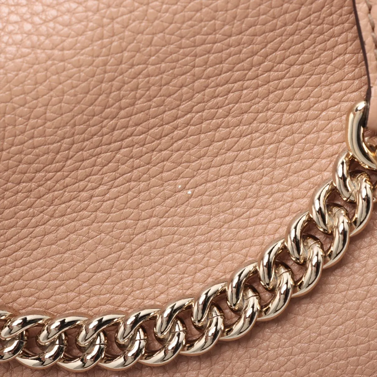 Soho Leather Chain Tote Bag, Beige Poodle, 536196 (Outlet) — view 13