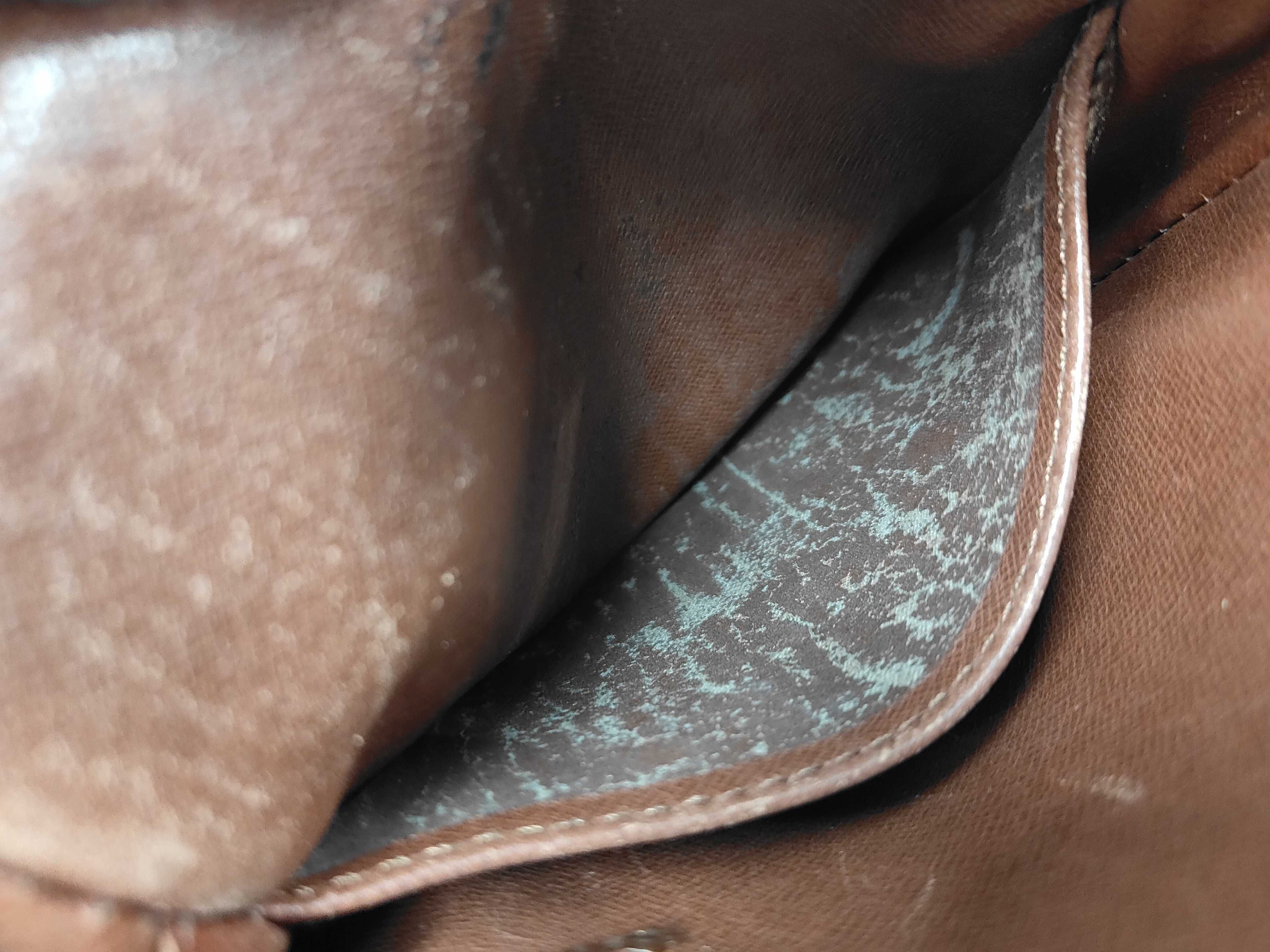 Monogram Danup Shoulder Bag — view 11