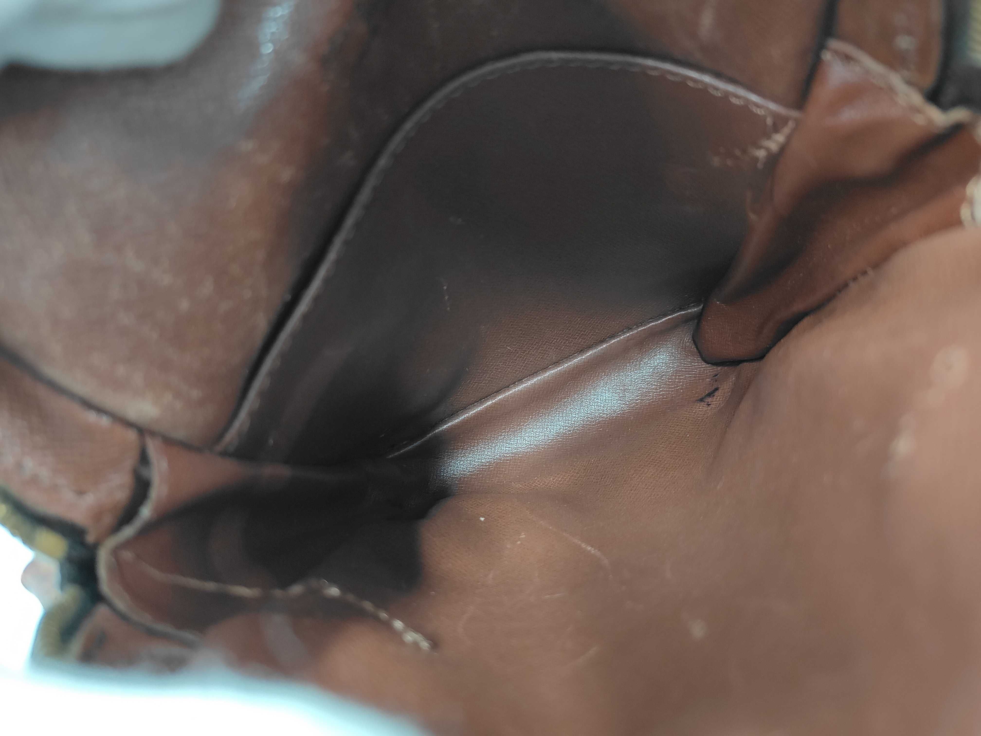 Monogram Danup Shoulder Bag — view 9