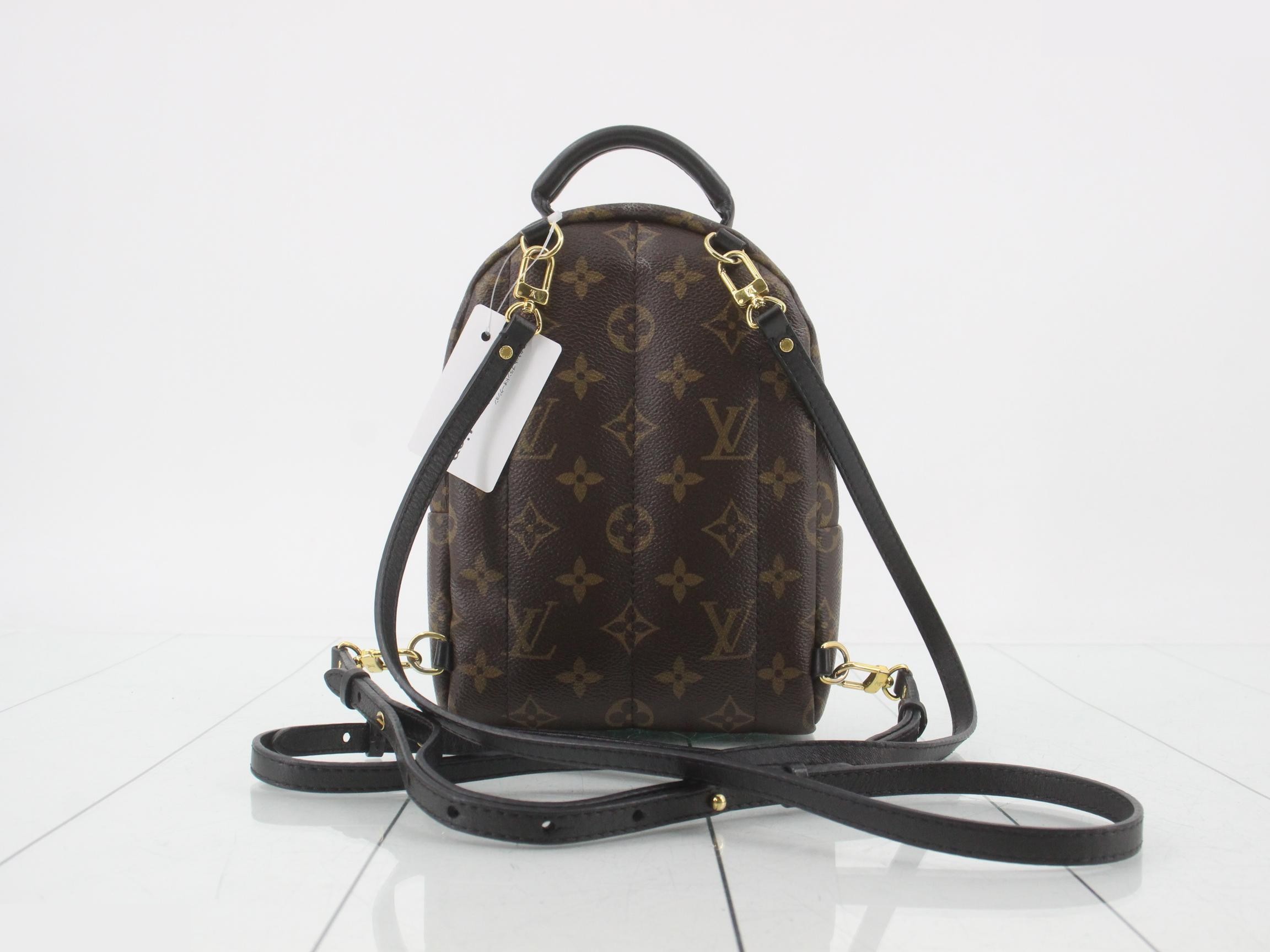 Palm Springs Mini Monogram Backpack — view 2