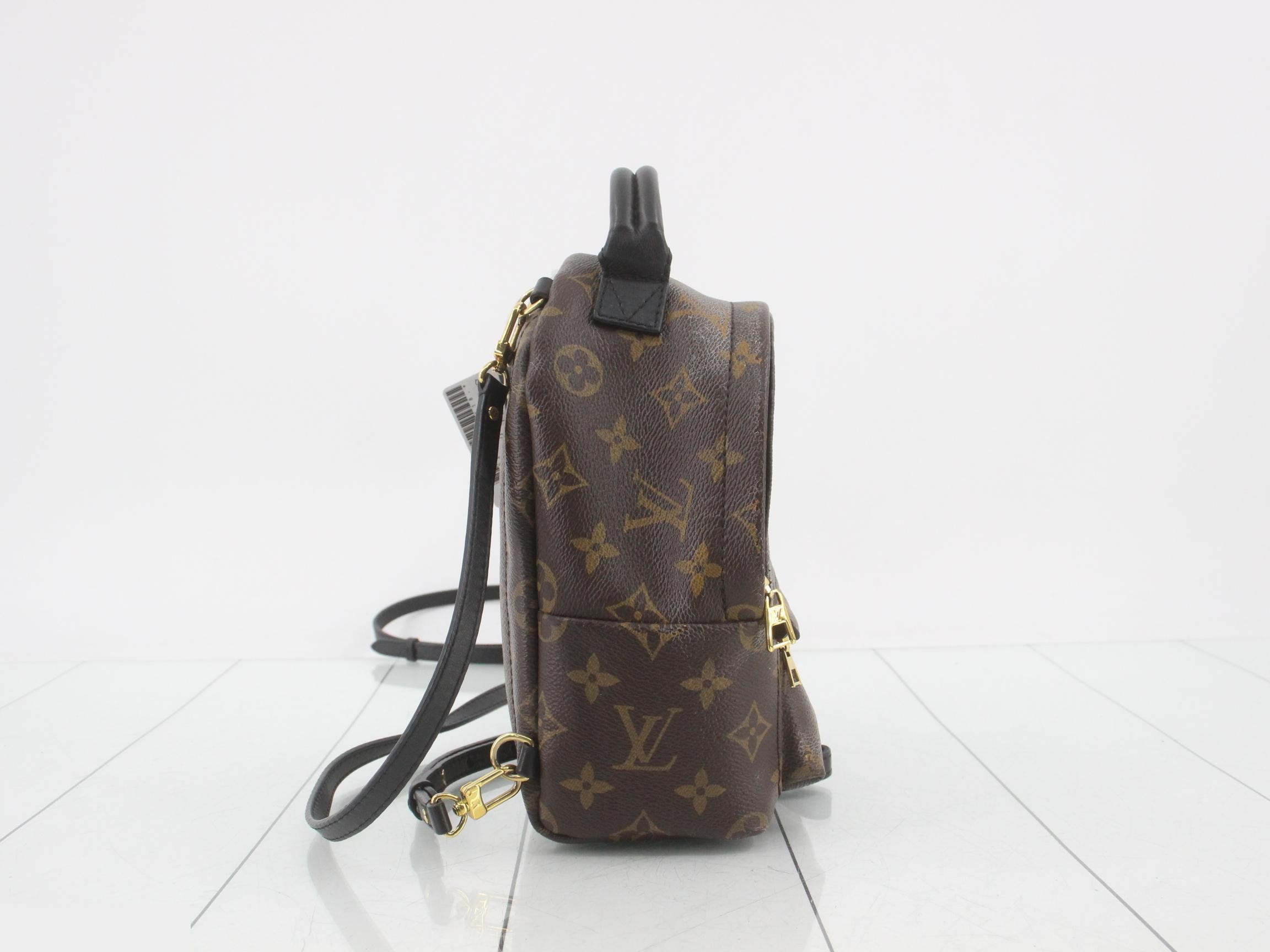 Palm Springs Mini Monogram Backpack — view 4