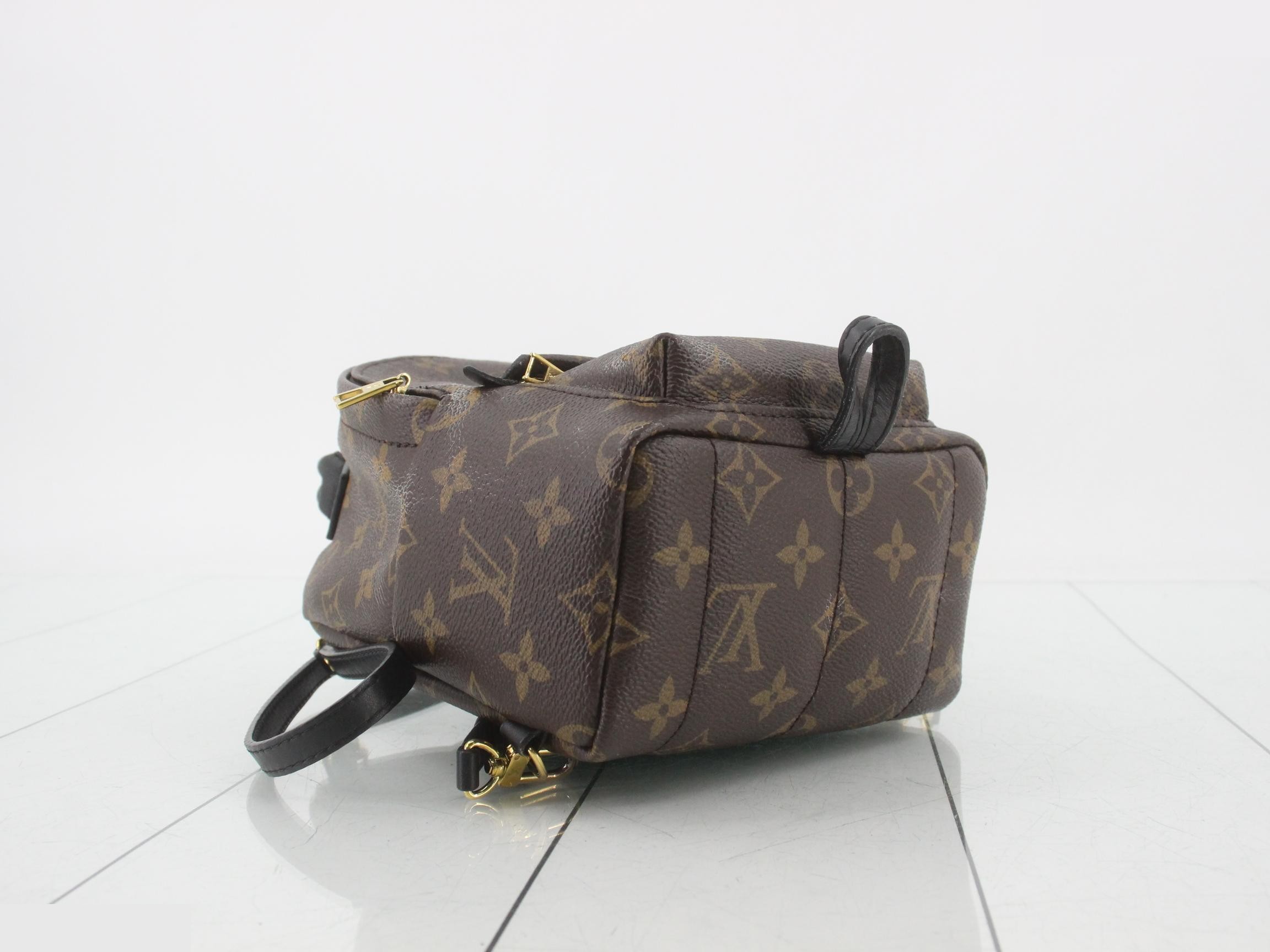 Palm Springs Mini Monogram Backpack — view 5