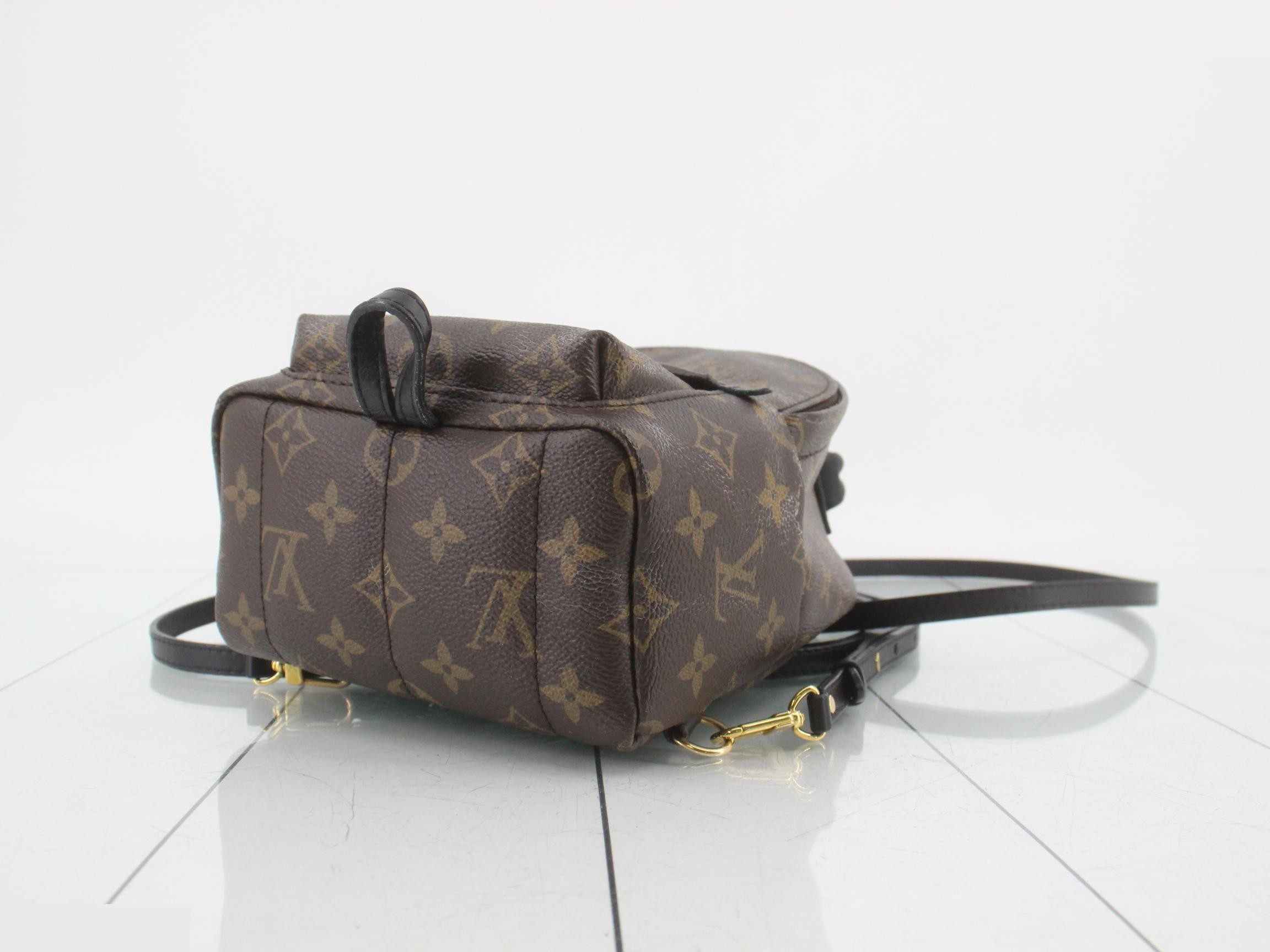 Palm Springs Mini Monogram Backpack — view 6