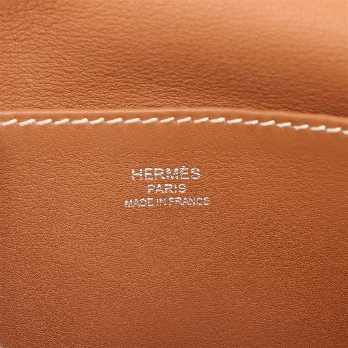 Arzan Mini, Veau Swift leather, gold, silver hardware, X: 2016 — view 14