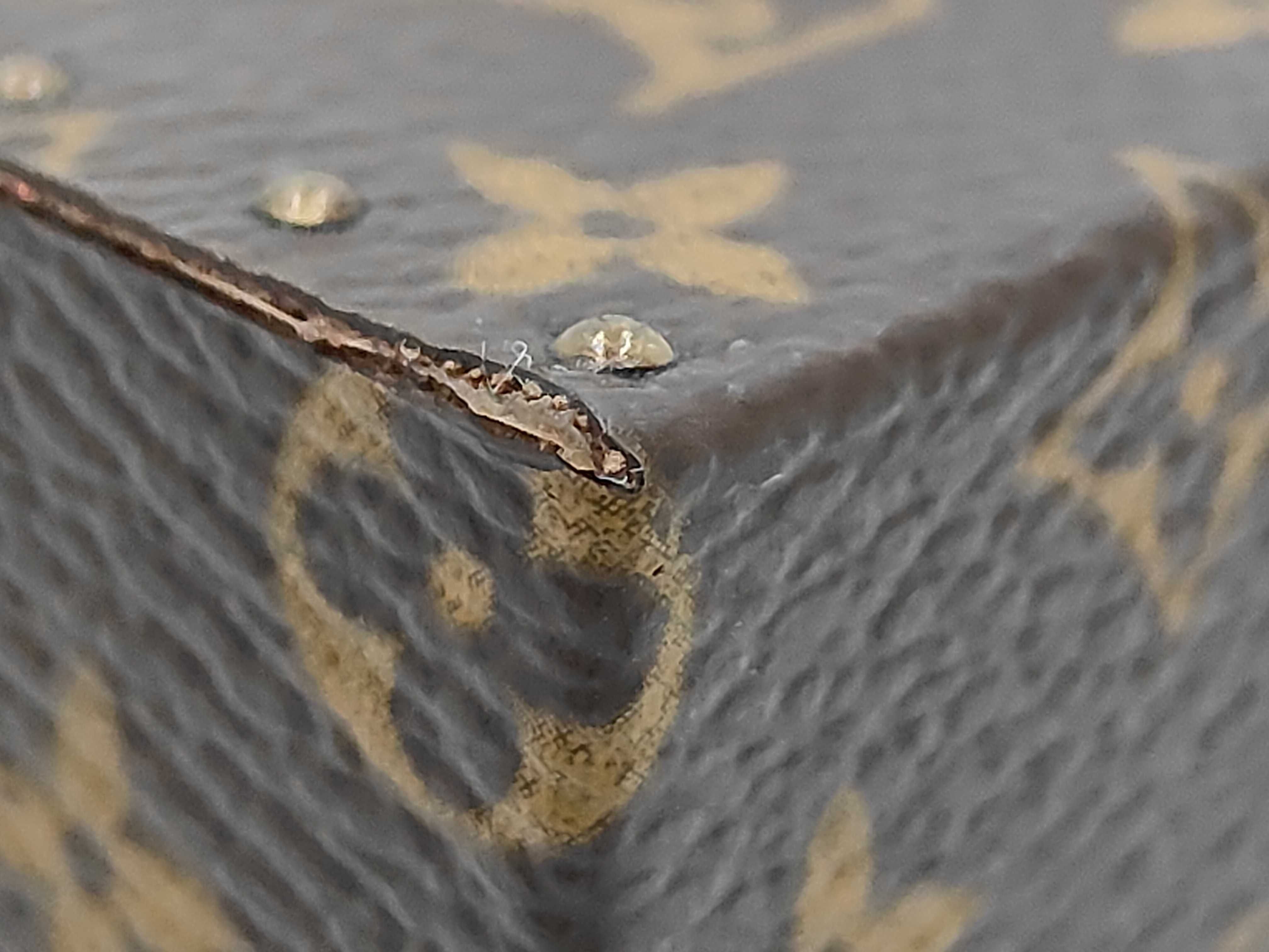 Monogram Louis Vuitton Monogram Jewelry Case Ecline Declaration M21010 Bag — view 6