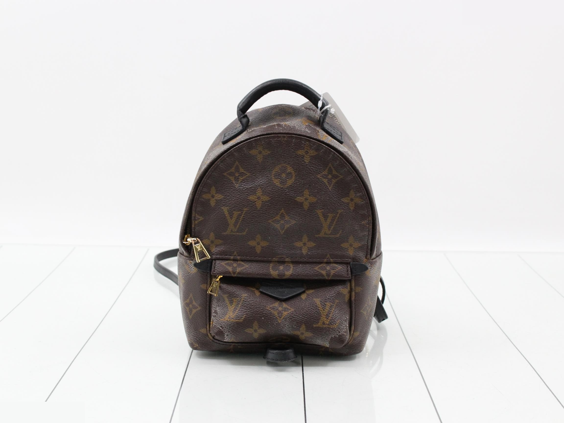 Monogram Palmspus Backpack MINI New Model Backpack