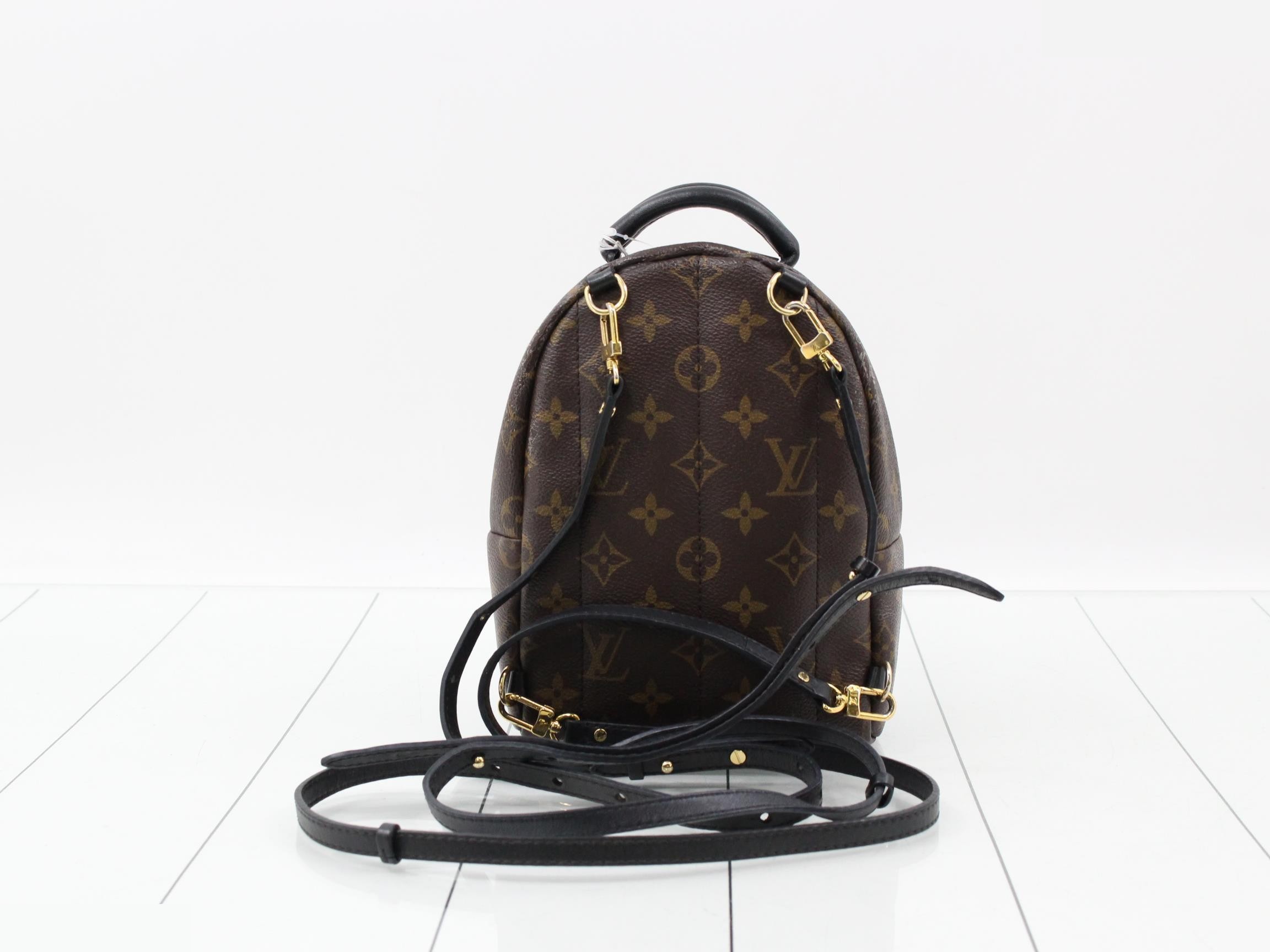 Monogram Palmspus Backpack MINI New Model Backpack — view 2