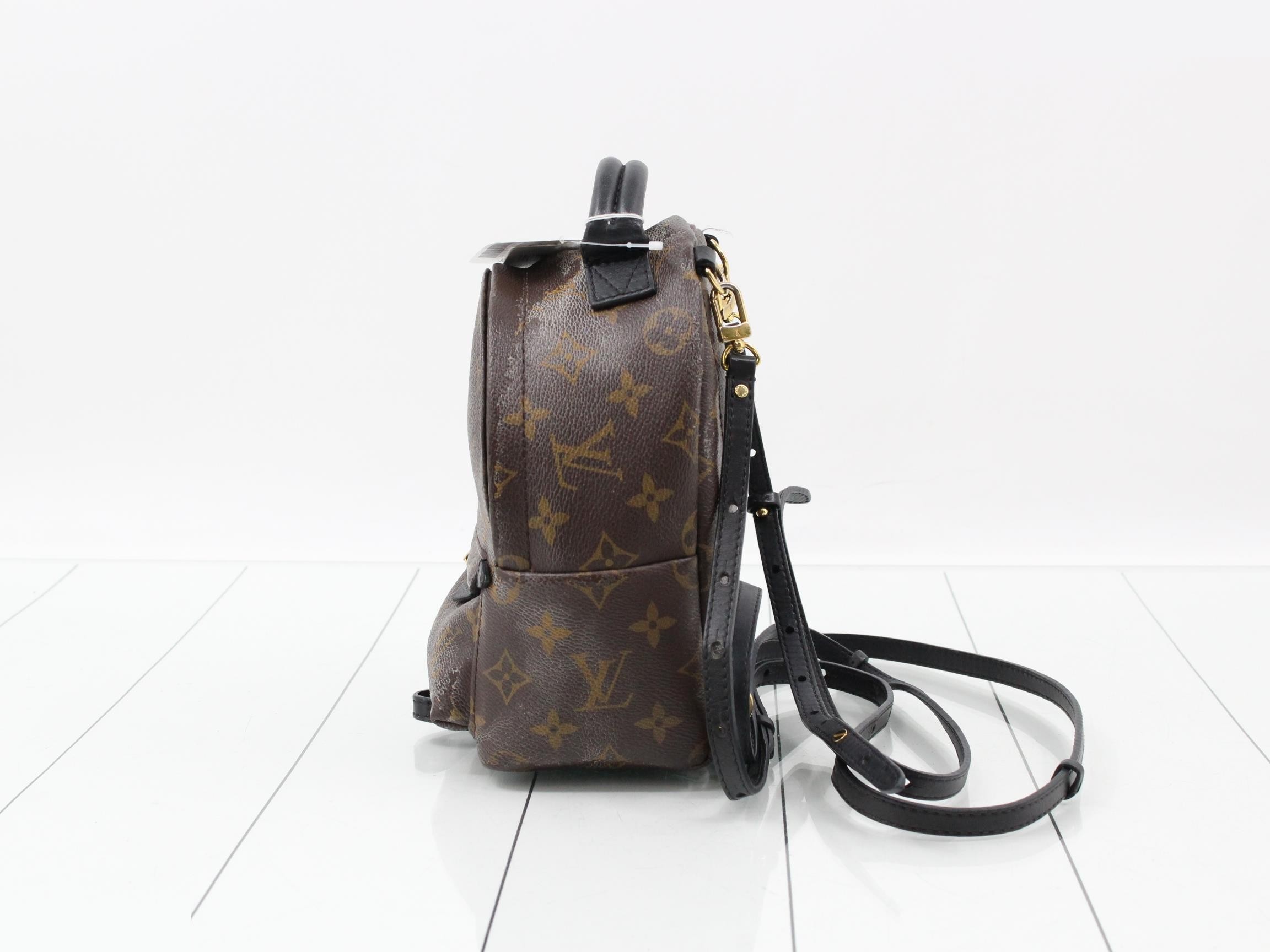 Monogram Palmspus Backpack MINI New Model Backpack — view 3