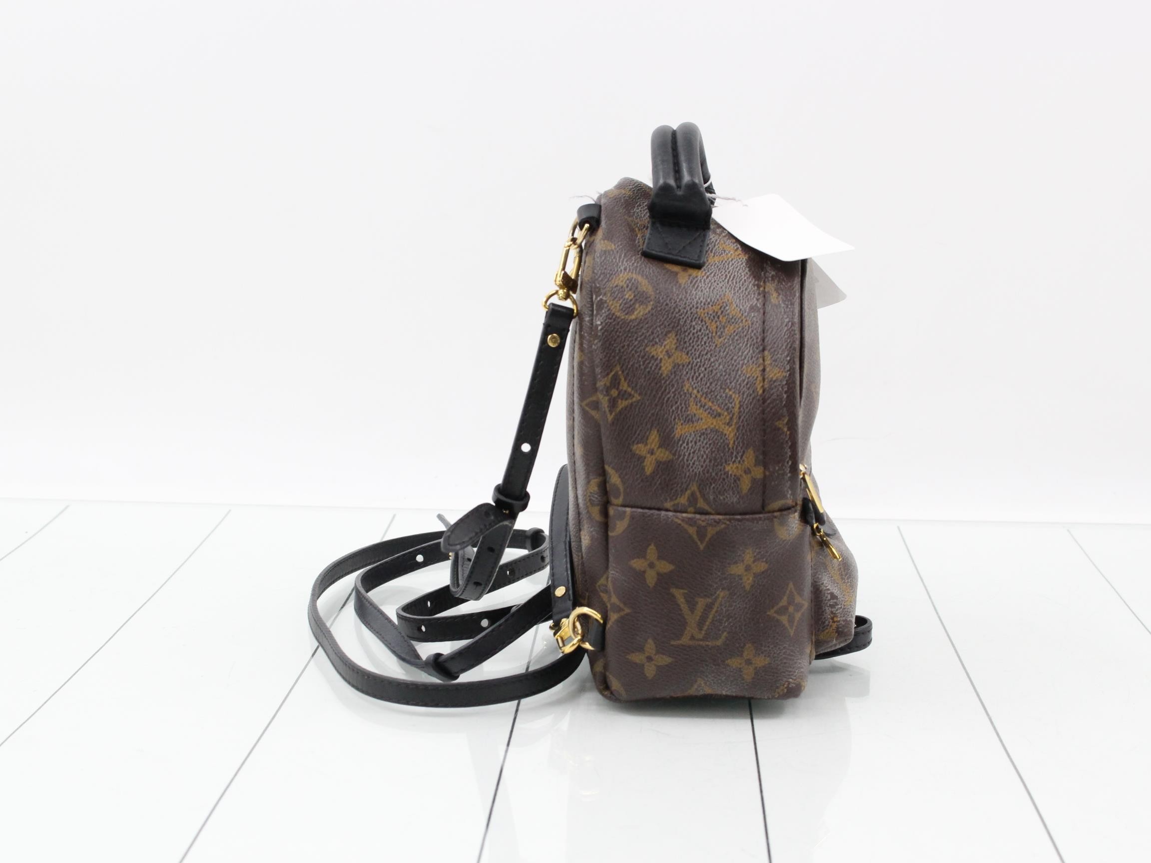 Monogram Palmspus Backpack MINI New Model Backpack — view 4
