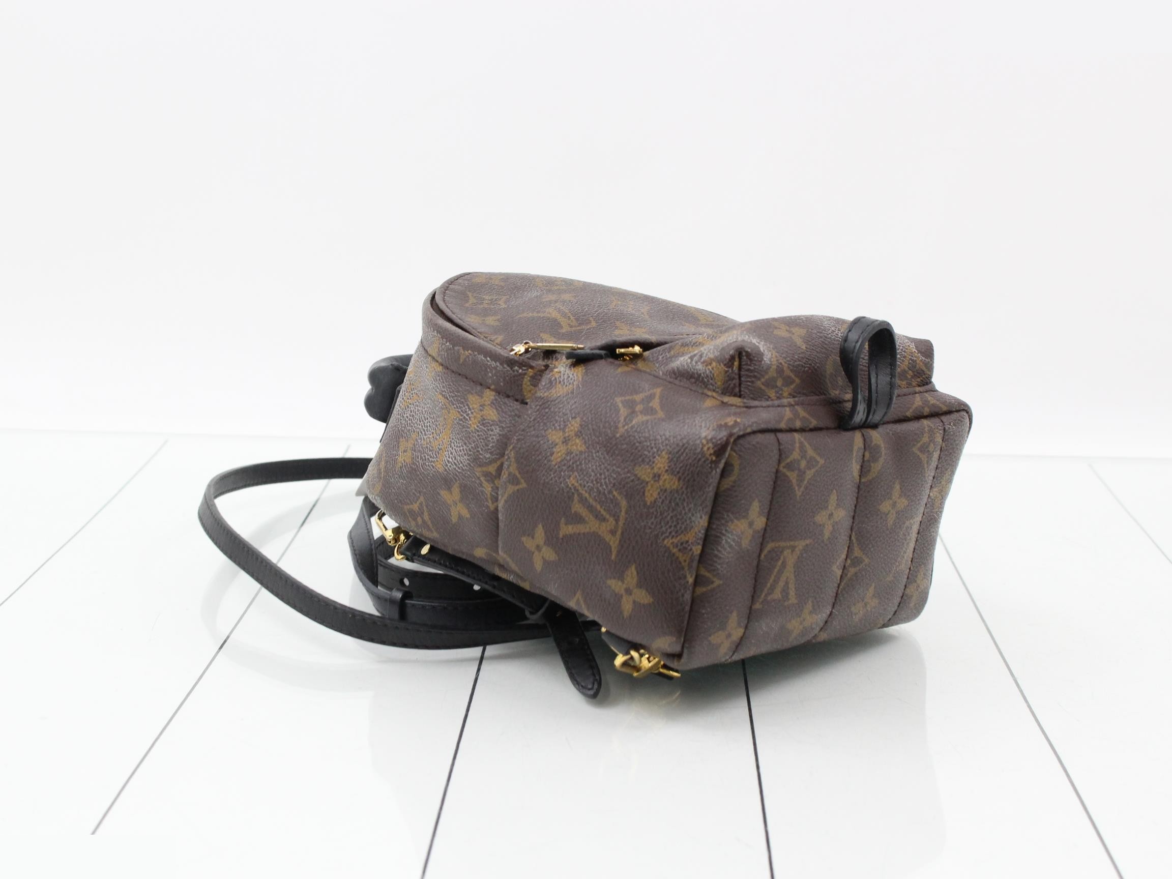 Monogram Palmspus Backpack MINI New Model Backpack — view 5