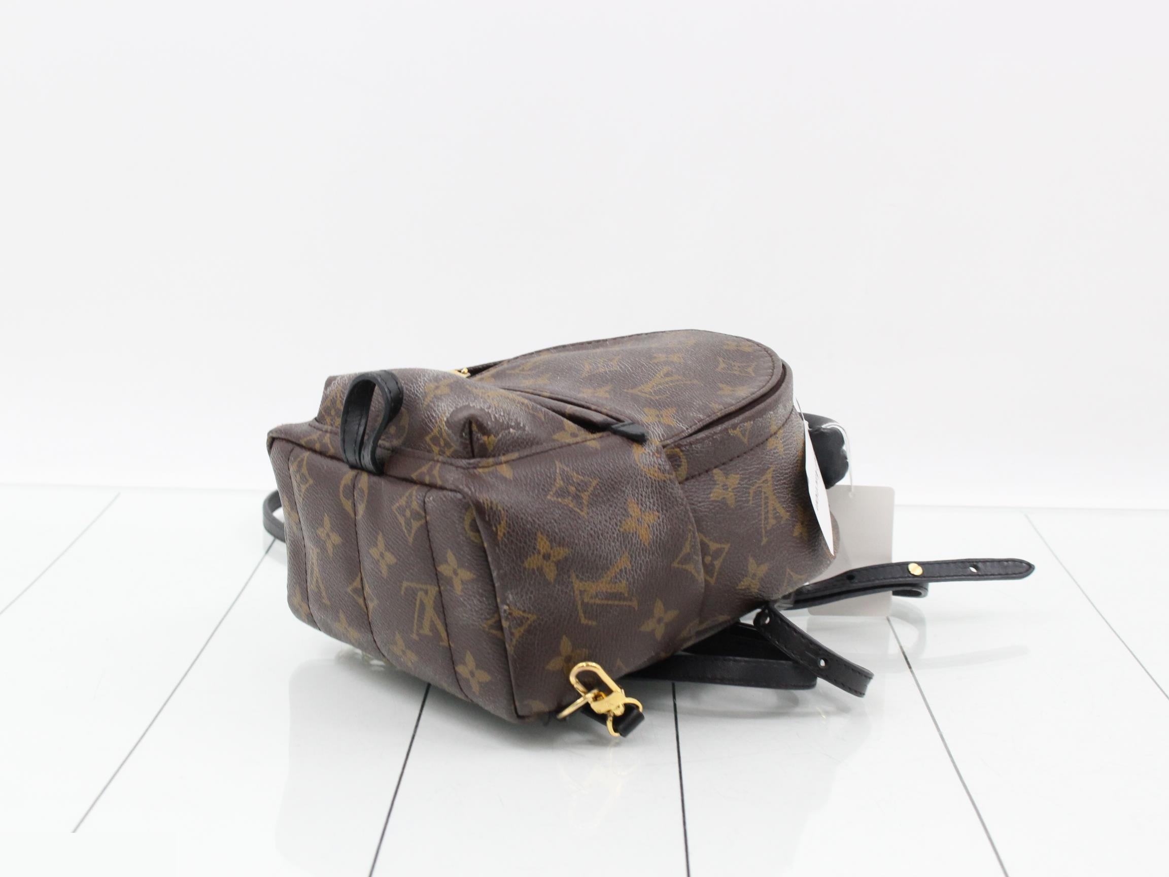 Monogram Palmspus Backpack MINI New Model Backpack — view 6