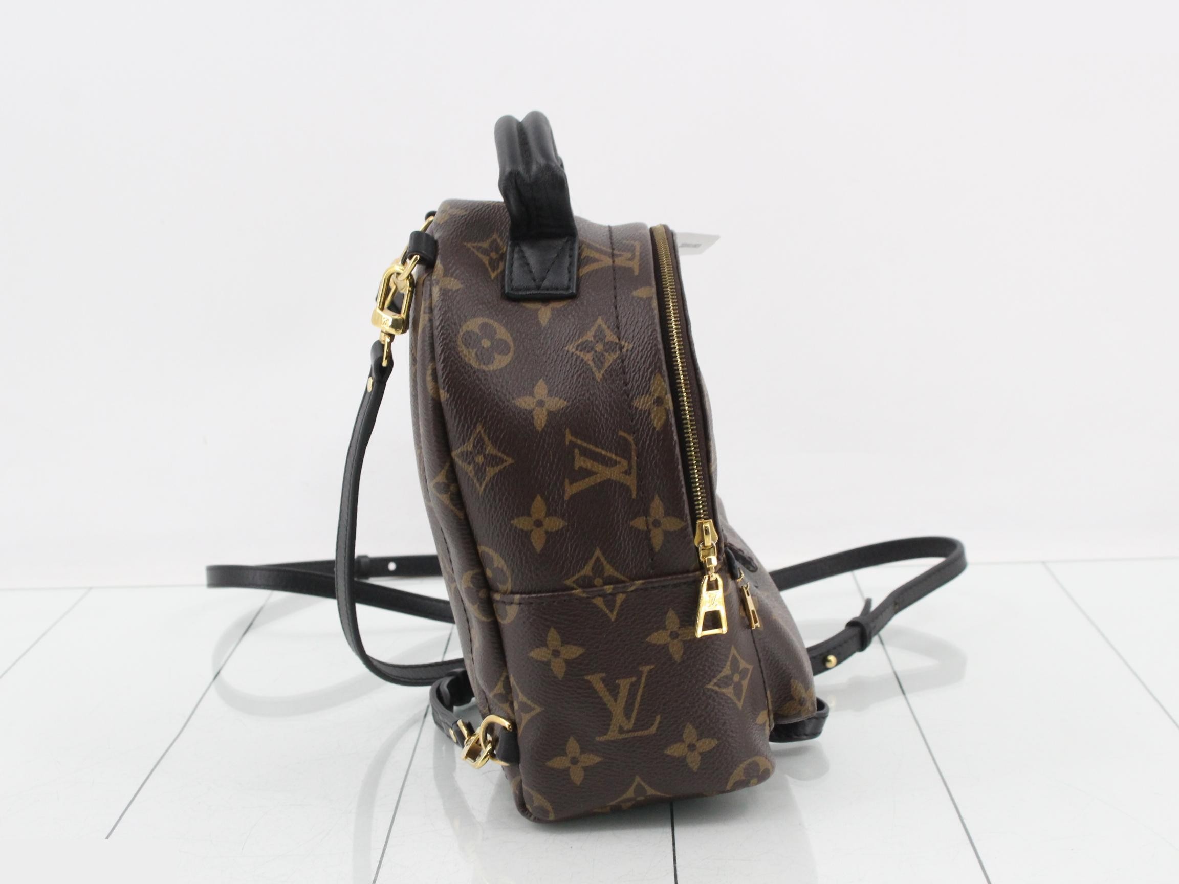 Monogram Palm Springs Backpack MINI — view 4