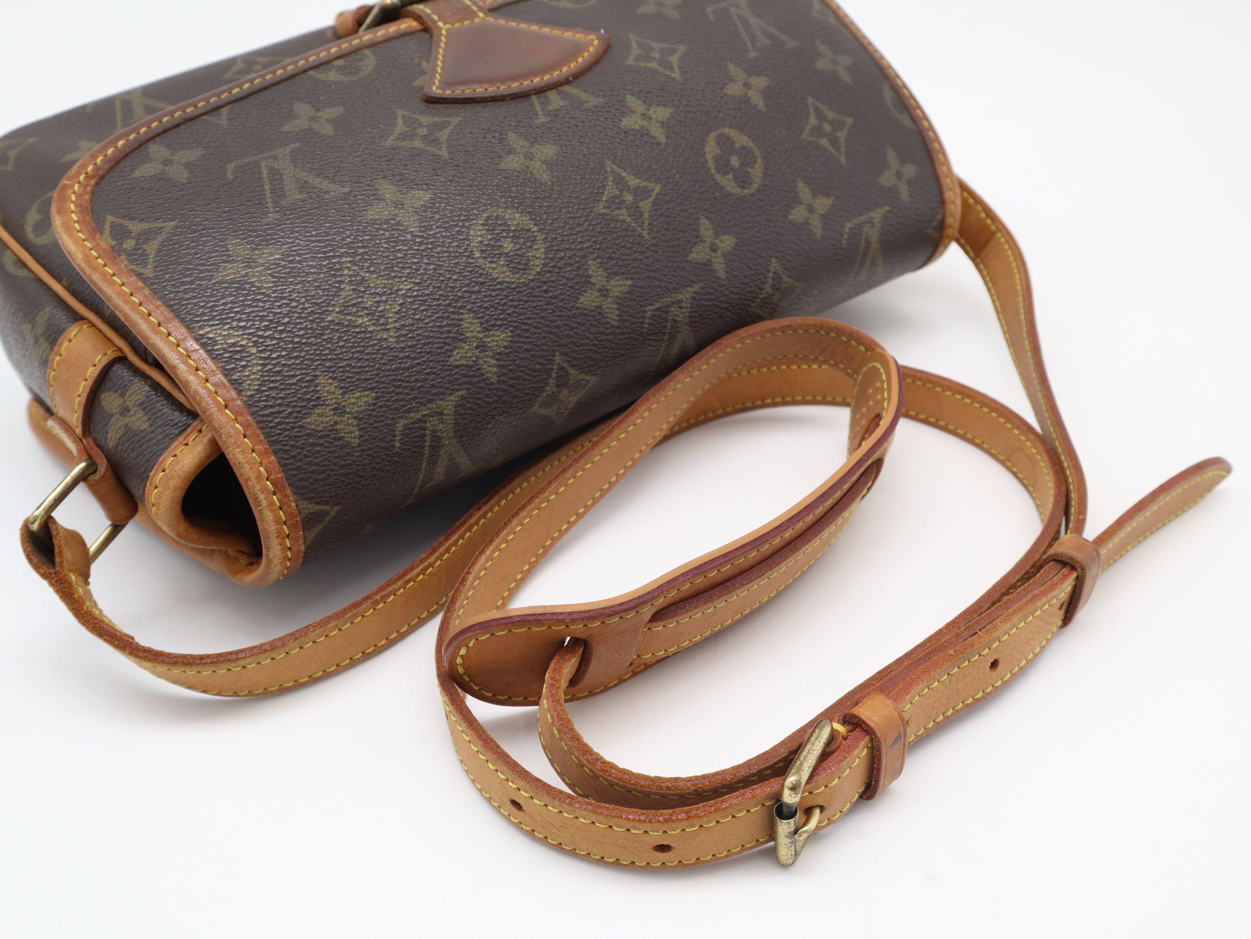 M42250 Monogram Sologne Shoulder Bag — view 6