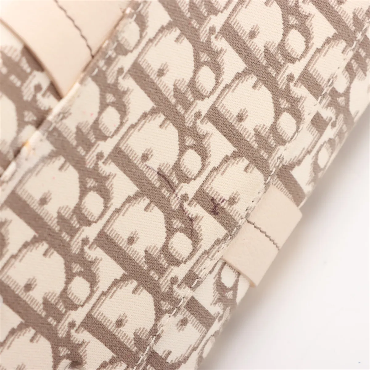 Trotter Canvas x Leather Handbag Beige x White — view 11