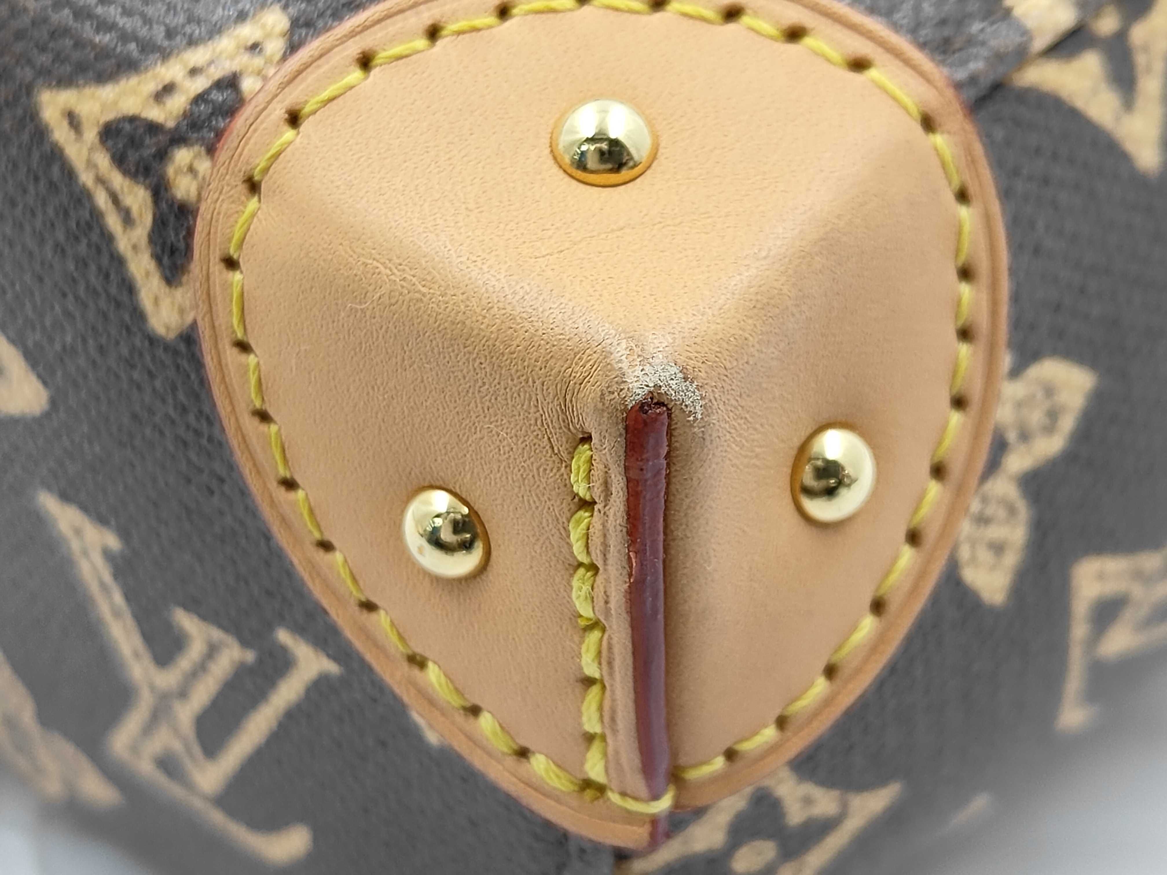 LV Louis Vuitton Noetrunk Shoulder Bag — view 4