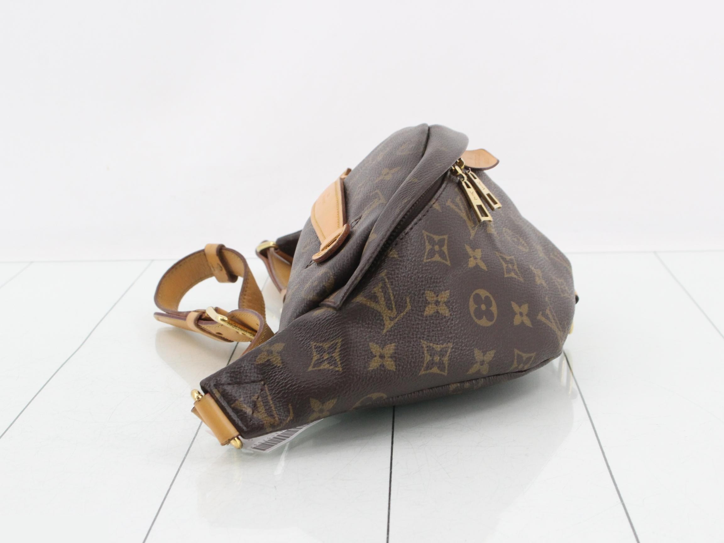 Monogram Bum Bag Waist Bag — view 4