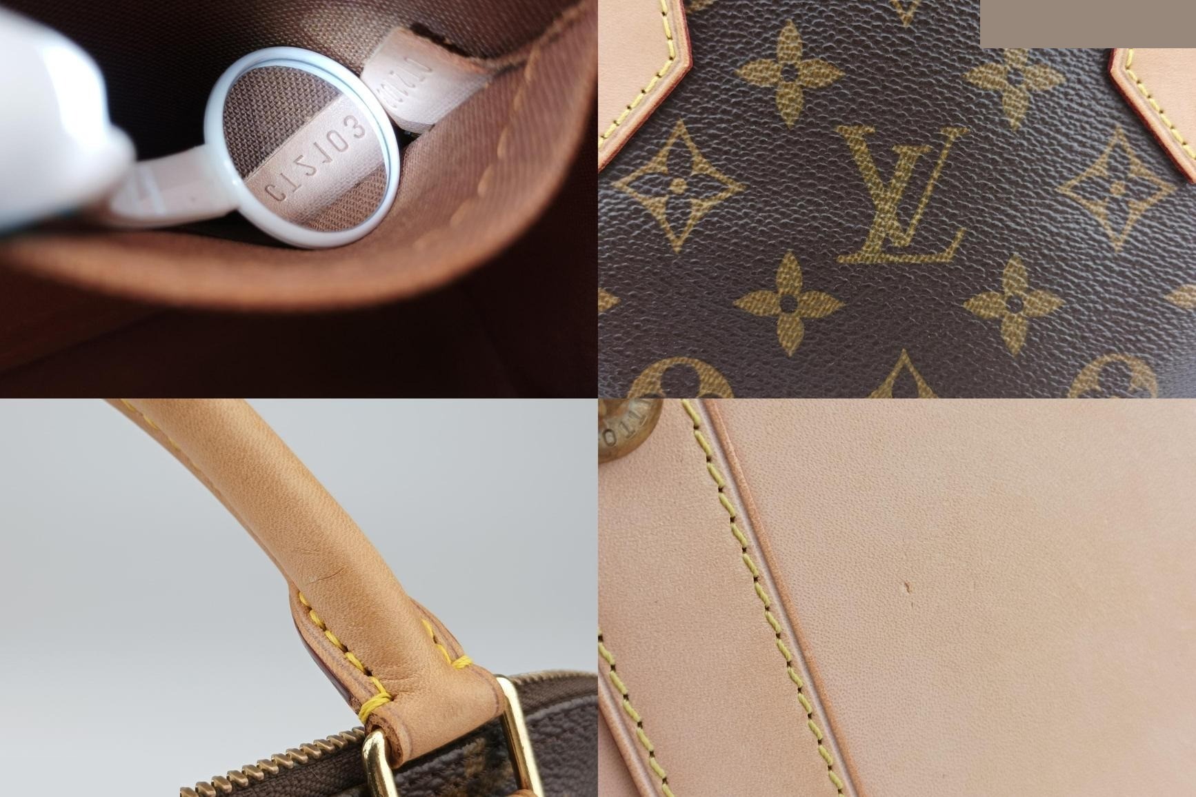 Alma PM Monogram Canvas x Calf Leather Monogram/Brown — view 8
