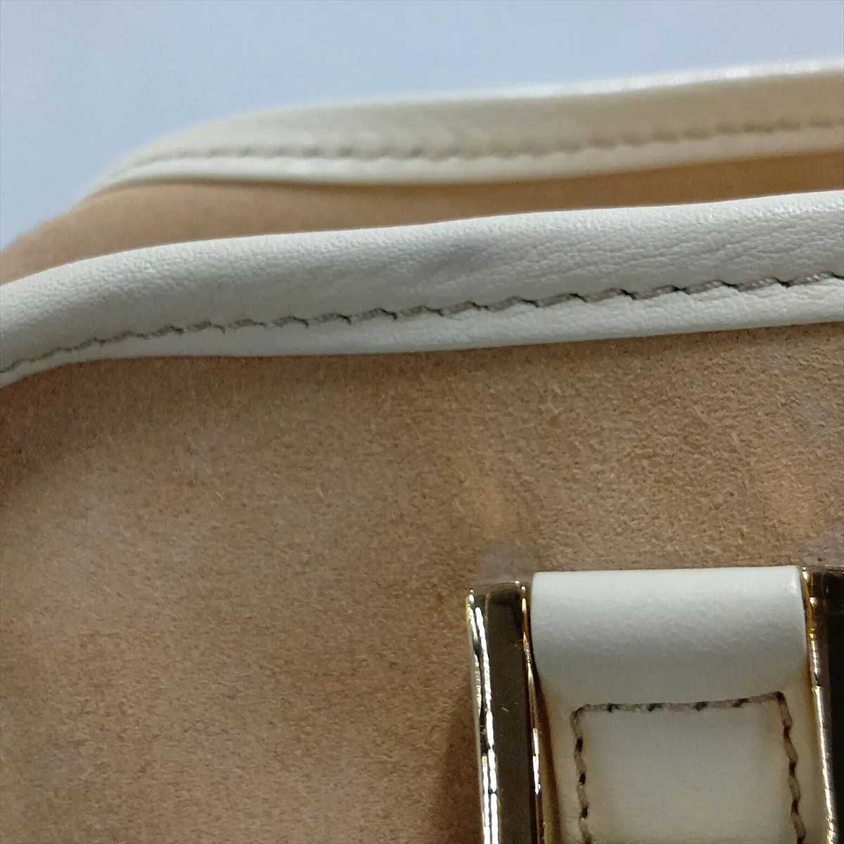 Amazona 28 Suede and Leather Handbag, Beige and Brown — view 14