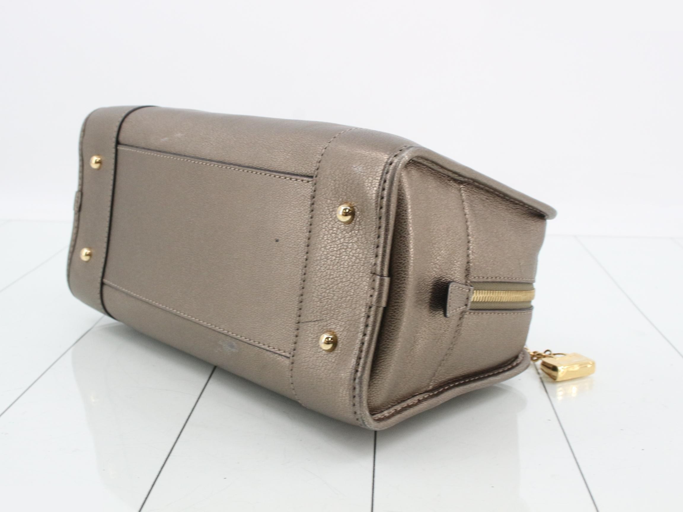 Amazona 28 Handbag, Bronze Leather — view 6