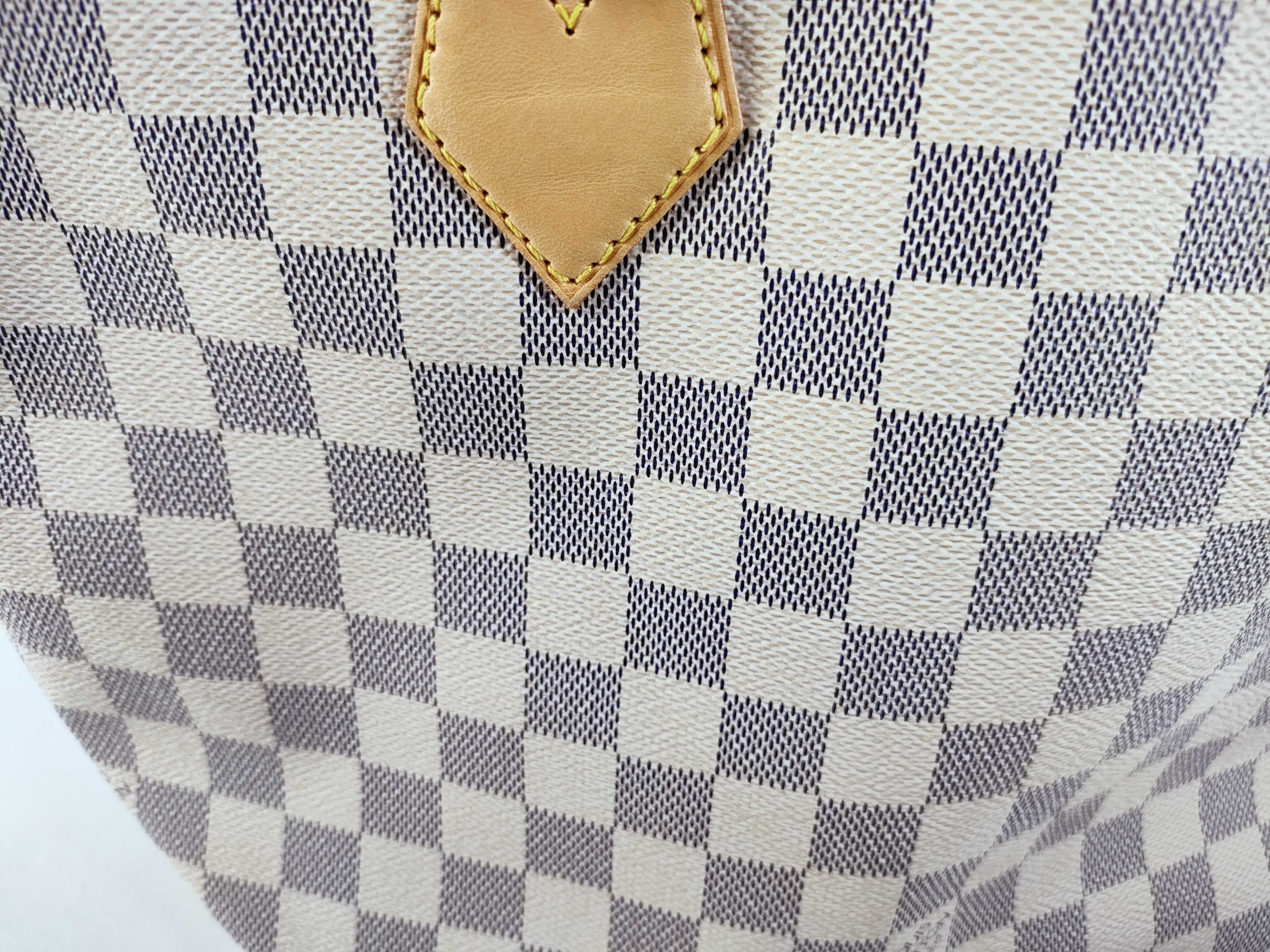Monogram Speedy 25 Azur Bag Boston Bag — view 13