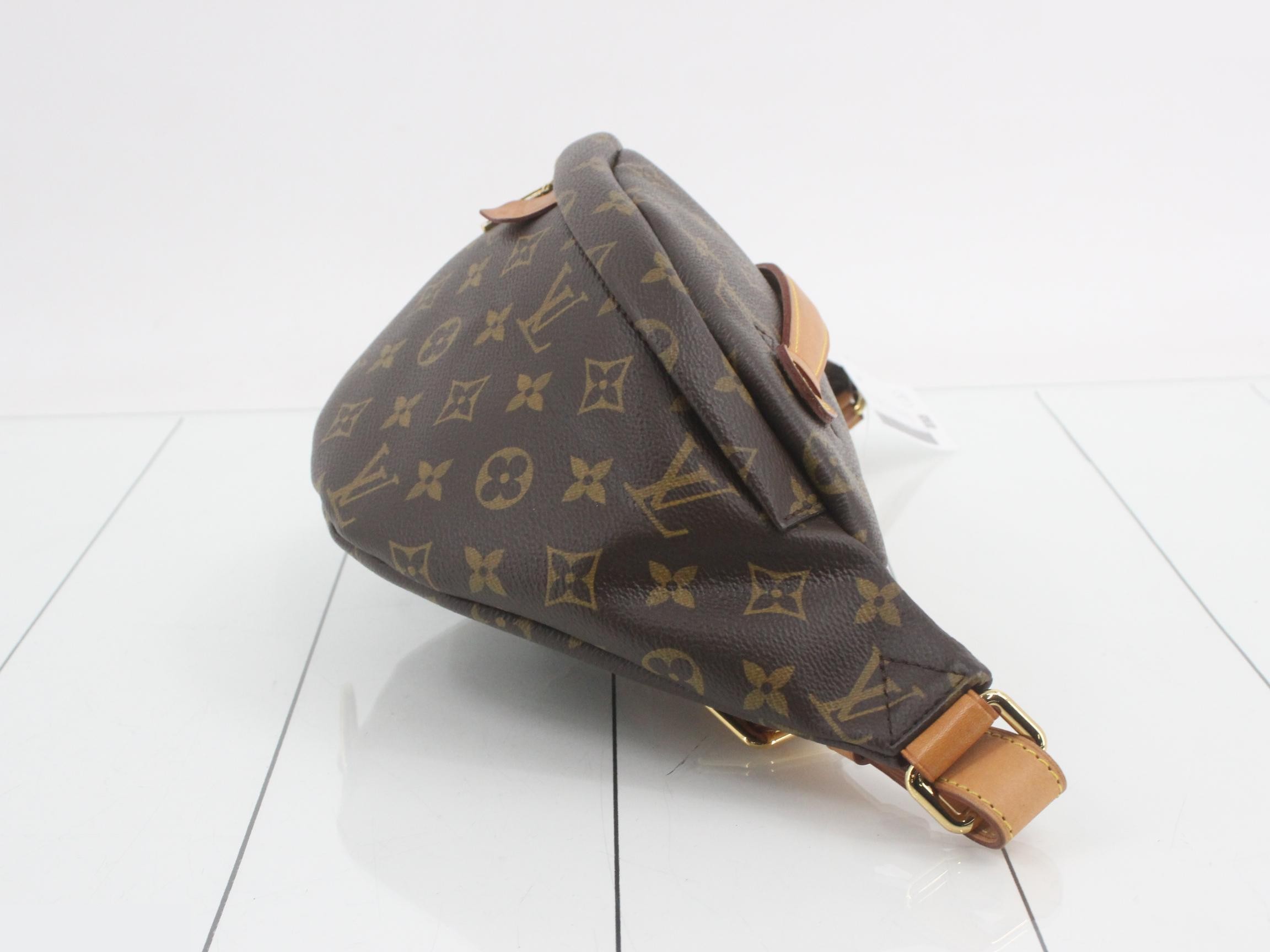 Monogram Bum Bag Waist Bag — view 3