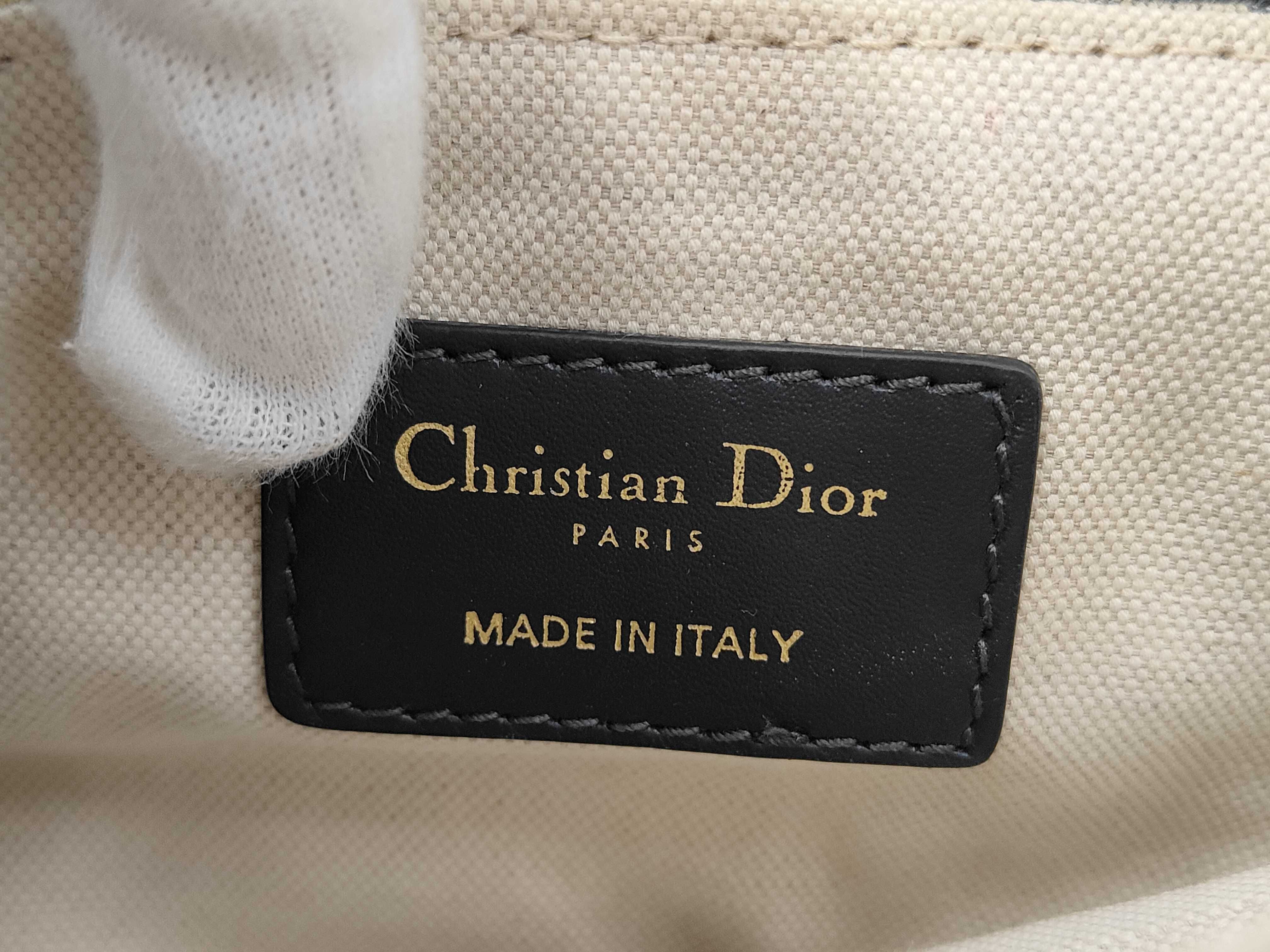 Saddle Bag Mini (Special Edition with ST) Shoulder Bag — view 9