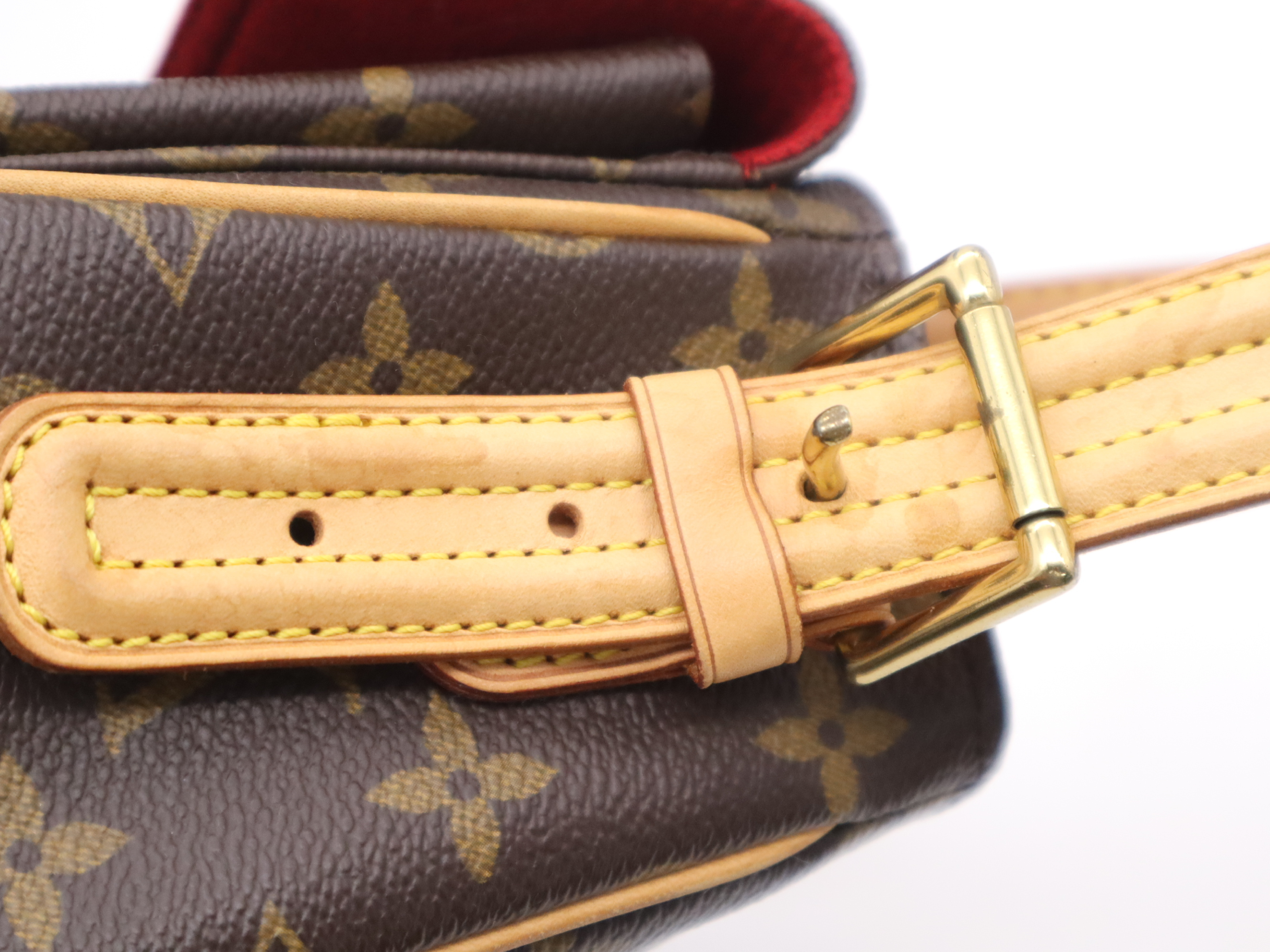 Monogram Viva-Cite MM Shoulder Bag with Dust Bag — view 8