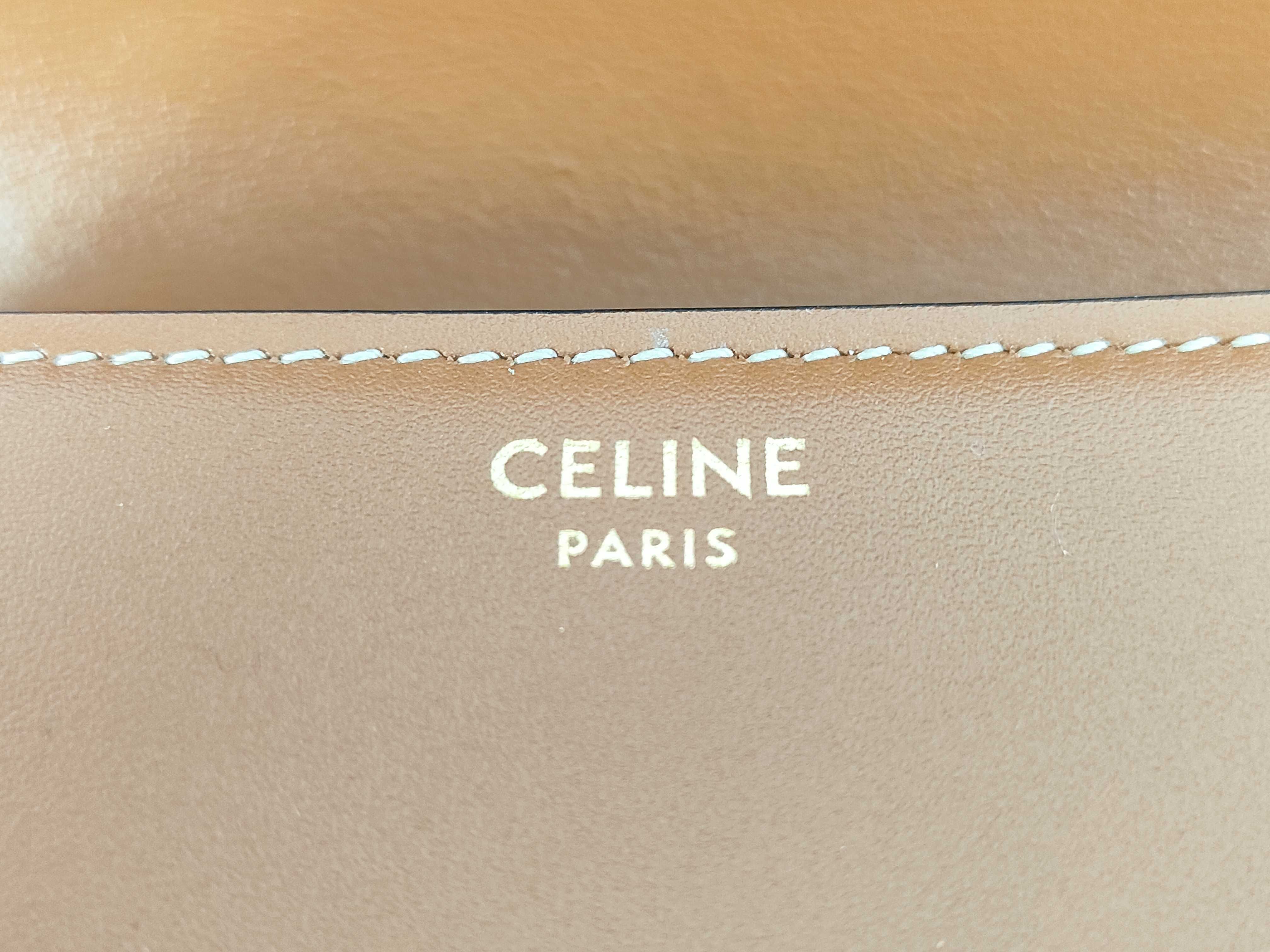 Mini Triomphe Shoulder Bag — view 11
