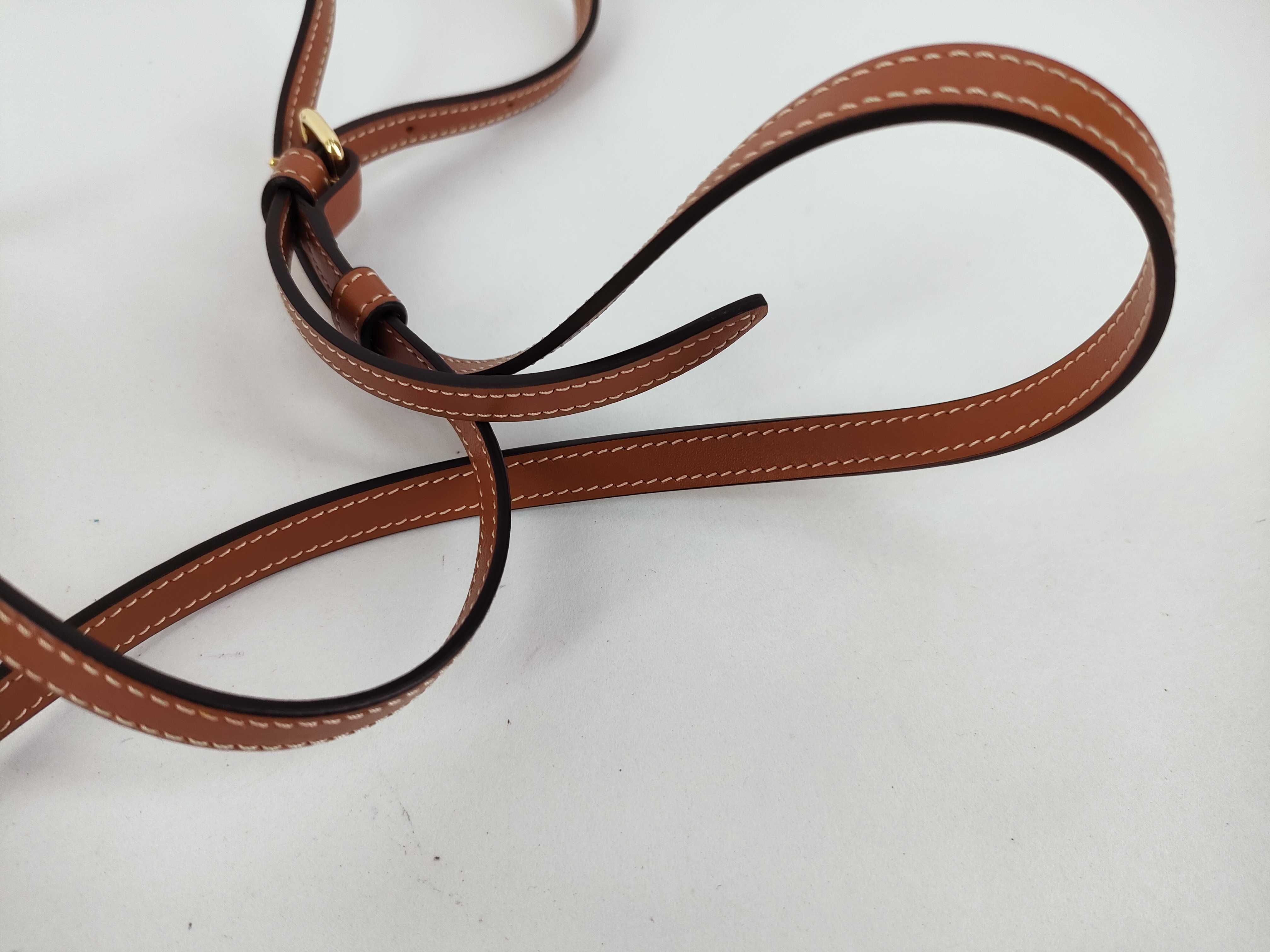 Mini Triomphe Shoulder Bag — view 4