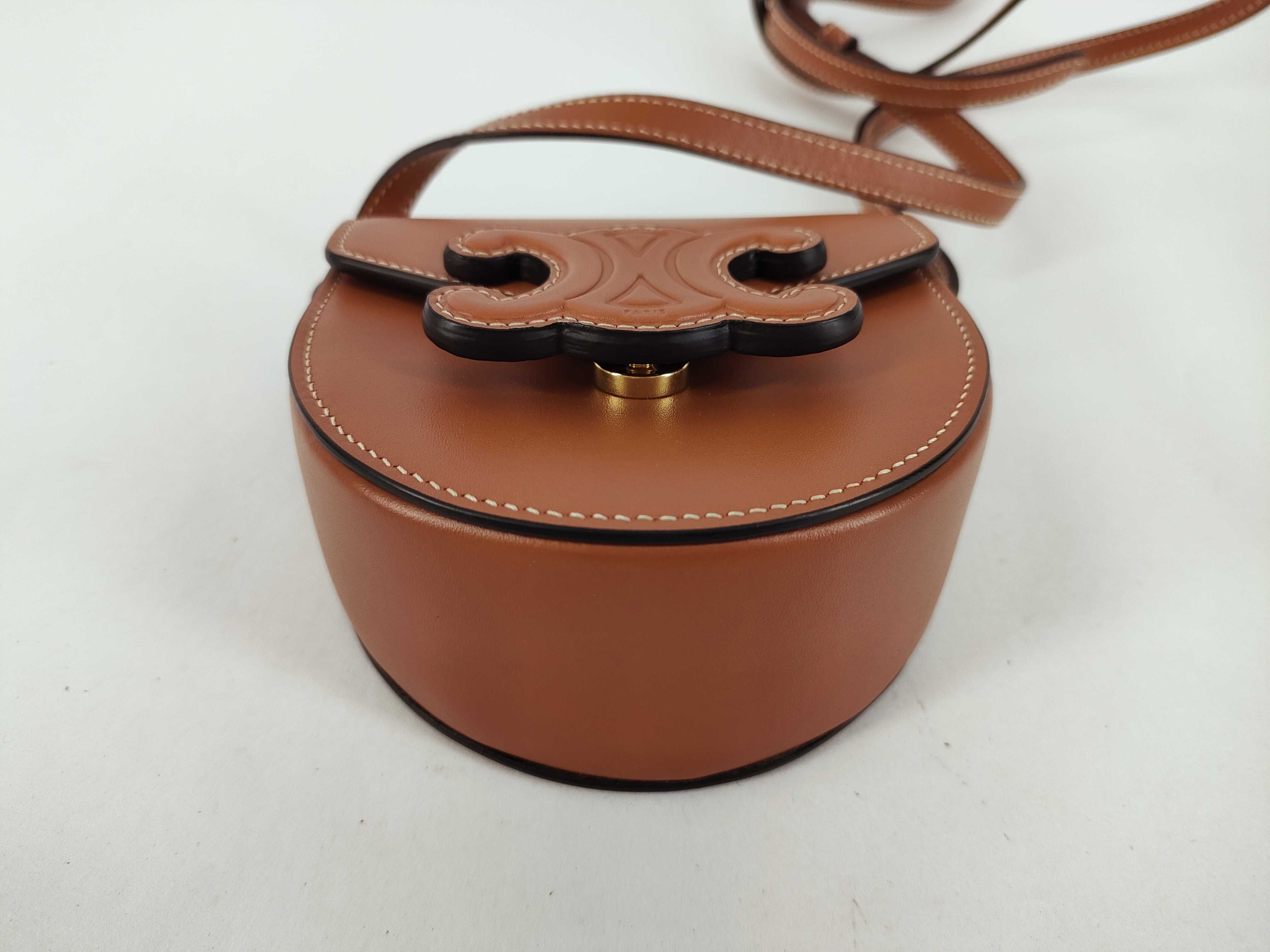Mini Triomphe Shoulder Bag — view 7