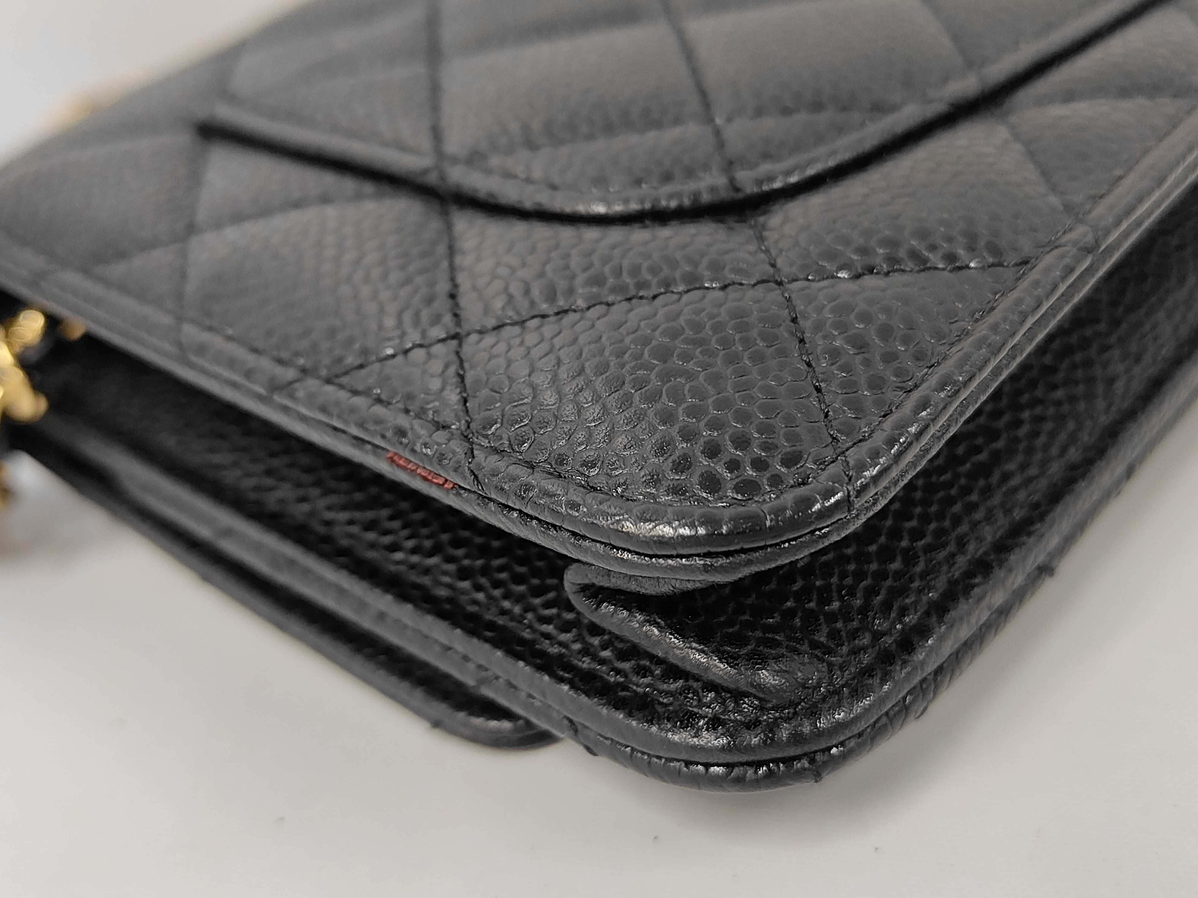 WOC Caviar Skin Shoulder Bag — view 4